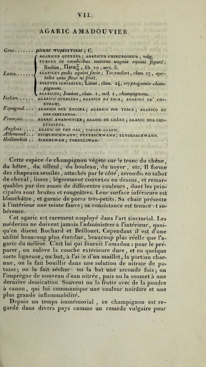VII. AGARIC AMADOUYIER. Grec pVMÇ rrvpçVfTikoç ; C. Latin. Italien Espagnol... . Français.... Anglais.. . Allemand. Hollandais AGARICUS QUERNUS; AGARICUS OHÏRURGORUM 5 vulg. fc » g us in caudicibus nascens unguis equini figura ; Bauhin, TTiUcc£ , lib. io, sect. 5. agaricus pedis equini facie ; Tournefort, class. 17, apé~ taies sans fleur ni fruit. boletus igniarius j Linné, class. 24, cryptogamie cham- pignons. k agaricusj Jussieu, class. 1 , ord. 1 , champignons. AGARICO QUERCINO $ AGARICO DA ESCA j AGARICO de’ CHF- RURGHI. AGARICO DEL ENCINA J AGARICO POR YESCA ’ AGARICO DE LOS CIRUJANOS. AGARIC AMADOUVIER j AGARIC DE CHENE j AGARIC DES CHI- RURGIENS. AGARIC OF THF, O AK. j TINDER-AGARIC. eichenschwamm; feuerschwaîwm • zunderschwàmm. E1KENZ WAM j TONDELZWAM. Cette espèce de champignon végète sur le tronc du chêne, du hêtre , du tilleul, du bouleau, du noyer , etc. Il forme des chapeaux sessiles , attachés par le côté , arrondis en sabot de cheval, lisses , légèrement convexes en dessus, et remar- quables par des zones de différentes couleurs , dont les prin- cipales sont brunes et rougeâtres. Leur surface inférieure est blanchâtre , et garnie de pores très-petits. Sa chair présente à l’intérieur une teinte fauve j sa consistance est tenace < t su- béreuse. Cet agaric est rarement employé dans l’art tinctorial. Les médecins ne doivent jamais l’administrer à l’intérieur, quoi- qu’on disent Rochard et Brillouet. Cependant il est d’une utilité beaucoup plus étendue, beaucoup plus réelle que l’a- garic du mélèse. C’est lui qui fournit l’amadou : pour le pré- parer , on enlève la couche extérieure dure, et en quelque sorte ligneuse, on bat, à l'ai e d’un maillet, la portion char- nue, on la fait bouillir dans une solution de nitrate de po- tasse • on la fait sécher on la bat une seconde fois ; on l’imprègne de nouveau d’eau nitrée , puis on la soumet à une dernière dessication Souvent on la frotte avec de la poudre à canon , qui lui communique une couleur noirâtre et une plus grande inflammabilité. Depuis un temps immémorial , ce champignon est re- gardé dans divers pays comme un remède yulgaire pour