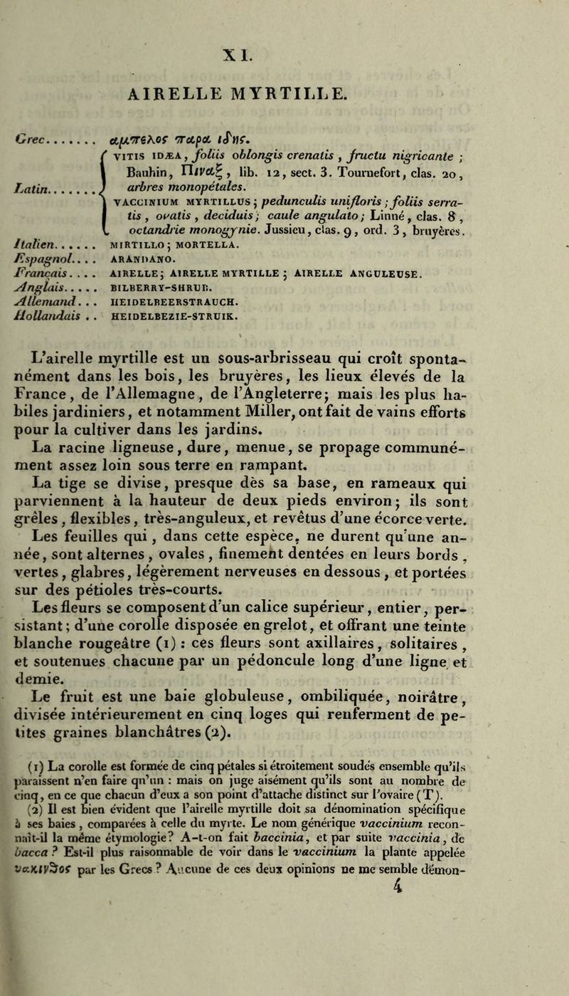 XL AIRELLE MYRTILLE. Grec ct/x^rSÀOf TcCf>a, /JV. !vitis idæa , foliis oblongis crenalis , fructu nigricante ; Bauhin, TJ/va,^ f lib. 12, sect. 3. Touruefort, clas. 20, arbres monopétales. vàccinium myrtillus j pedunculis unifions ; foliis serra- tis , ovatis , deciduis; caule angulato ; Linné, clas. 8 , octandrie monogynie. Jussieu, clas. 9, ord. 3 , bruyères. Italien mirtillo; mortella. Espagnol... . aranhano. Français.... airelle; airelle myrtille ; airelle anguleuse. Anglais bilberry-shrur. Allemand... iieidelbeerstrauch. Hollandais . . heidelbezie-struik. L’airelle myrtille est un sous-arbrisseau qui croît sponta- nément dans les bois, les bruyères, les lieux élevés de la France, de l'Allemagne, de l’Angleterrej mais les plus ha- biles jardiniers, et notamment Miller, ont fait de vains efforts pour la cultiver dans les jardins. La racine ligneuse, dure, menue, se propage communé- ment assez loin sous terre en rampant. La tige se divise, presque dès sa base, en rameaux qui parviennent à la hauteur de deux pieds environ j ils sont grêles, flexibles, très-anguleux, et revêtus d’une écorce verte. Les feuilles qui, dans cette espèce, ne durent qu’une an- née, sont alternes , ovales , finement dentées en leurs bords , vertes, glabres, légèrement nerveuses en dessous , et portées sur des pétioles très-courts. Les fleurs se composent d’un calice supérieur, entier, per- sistant; d’une corolle disposée en grelot, et offrant une teinte blanche rougeâtre (1) : ces fleurs sont axillaires, solitaires , et soutenues chacune par un pédoncule long d’une ligne et demie. Le fruit est une baie globuleuse, ombiliquée, noirâtre, divisée intérieurement en cinq loges qui renferment de pe- tites graines blanchâtres (a). (1) La corolle est formée de cinq pétales si étroitement soudés ensemble qu’ils paraissent n’en faire qu’un : mais on juge aisément qu’ils sont au nombre de cinq, en ce que chacun d’eux a son point d’attache distinct sur Tovaire (T). (2) Il est bien évident que l’airelle myrtille doit sa dénomination spécifique à ses baies , comparées à celle du myrte. Le nom générique vàccinium recon- naît-il la même étymologie? A-t-on fait baccinia, et par suite vaccinia, de bacca ? Est-il plus raisonnable de voir dans le vàccinium la plante appelée vaKtvSof par les Grecs ? Aucune de ces deux opinions ne me semble démon-