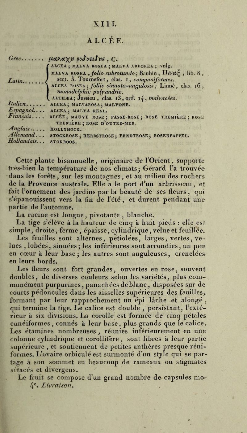 A L C É E. Grec ixcLKeLyjn poS'oeiS'tiç , c. !alcea ; malva rosea j malva arborea ; vulg. malva rosea , Jolio subrotundo ; Bauhin , TUvtlÇ , lib. 8 , sect. 5. Tournefoit, clas. i, campaniformes. alcea rosea j foliis sinuato-angulosis ; Linné, clas. 16 , monadelphie polyandrie. ALTHÆAj Jussieu , clas. i3,ord. malvacées. Italien alcea ; malvarosa; malvone. Espagnol.. .. alcea j malva real. Français.... alcée; maüve rose ; passe-Rose; rose tremière 5 rose TREN1ÈRE ; ROSE d’oüTRE-MER. Anglais HOLLYHOCK. Allemand.. . stocerose ; herbstrosej erndtrose; rosenpappel. Hollandais... stokroos. Cette plante bisannuelle , originaire de l’Orient, supporte très-bien la température de nos climats ; Gérard Fa trouvée dans les forêts, sur les montagnes, et au milieu des rochers de la Provence australe. Elle a le port d’un arbrisseau, et fait l’ornement des jardins par la beauté de ses fleurs , qui s’épanouissent vers la fin de Fêté, et durent pendant une partie de l’automne. La racine est longue, pivotante , blanche. La tige s’élève à la hauteur de cinq à huit pieds : elle est simple, droite, ferme, épaisse, cylindrique, velue et feuillée. Les feuilles sont alternes, pétiolées, larges, vertes, ve- lues , lobées, sinuées; les inférieures sont arrondies, un peu en cœur à leur base; les autres sont anguleuses, crenelées en leurs bords. Les fleurs sont fort grandes, ouvertes en rose, souvent doubles, de diverses couleurs selon les variétés, plus com- munément purpurines, panachées de blanc, disposées sur de courts pédoncules dans les aisselles supérieures des feuilles, formant par leur rapprochement un épi lâche et alongé , qui termine la tige. Le calice est double , persistant, l’exté- rieur à six divisions. La corolle est formée de cinq pétales cunéiformes , connés à leur base, plus grands que le calice. Les étamines nombreuses , réunies inférieurement en une colonne cylindrique et corollifère, sont libres à leur partie supérieure , et soutiennent de petites anthères presque réni- formes. L’ovaire orbiculéest surmonté d’un style qui se par- tage à son sommet en beaucoup de rameaux ou stigmates sétacés et divergens. Le fruit se compose d’un grand nombre de capsules mo-