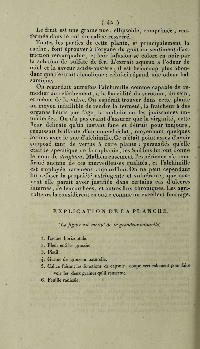 ren- ( 42 ) Le fruit est une graine nue, ellipsoïde, comprimée , fermée dans le col du calice resserré. Toutes les parties de cette plante, et principalement la racine, font éprouver à l’organe du goût un sentiment d’as- triction remarquable, et leur infusion se colore en noir par la solution de sulfate de fer. L’extrait aqueux a l’odeur de miel et la saveur acide-austère ; il est beaucoup plus abon- dant que l’extrait alcoolique : celui-ci répand une odeur bal- samique. O11 regardait autrefois l’alchimille comme capable de re- médier au relâchement, à la flaccidité du scrotum , du sein , et même de la vulve. On espérait trouver dans cette plante un moyen infaillible de rendre la fermeté, la fraîcheur à des organes flétris par l’âge, la maladie ou les jouissances im- modérées. On n’a pas craint d’assurer que la virginité, cette fleur délicate qu’un instant fane et détruit pour toujours , renaissait brillante d’un nouvel éclat , moyennant quelques lotions avec le suc d’alchimille. Ce n’était point assez d’avoir supposé tant de vertus à cette plante : persuadés qu’elle était le spécifique de la raphanie, les Suéclois lui ont donné le nom de dragblad. Malheureusement l’expérience n’a con- firmé aucune de ces merveilleuses qualités, et l’alchimille est employée rarement aujourd’hui. On ne peut cependant lui refuser la propriété astringente et vulnéraire, que sou- vent elle paraît avoir justifiée dans certains cas d’ulcères internes, de leucorrhées, et autres flux chroniques. Les agri- culteurs la considèrent en outre comme un excellent fourrage. EXPLICATION DE LA PLANCHE. {La figure est moitié de la grandeur naturelle) 1. Racine horizontale. 2. Fleur entière grossie. 3. Pistil. 4. Graine de grosseur naturelle. 5. Calice faisant les fonctions de capsule , coupé verticalement pour faire voir les deux graines qu’il renferme. 6. Feuille radicale.