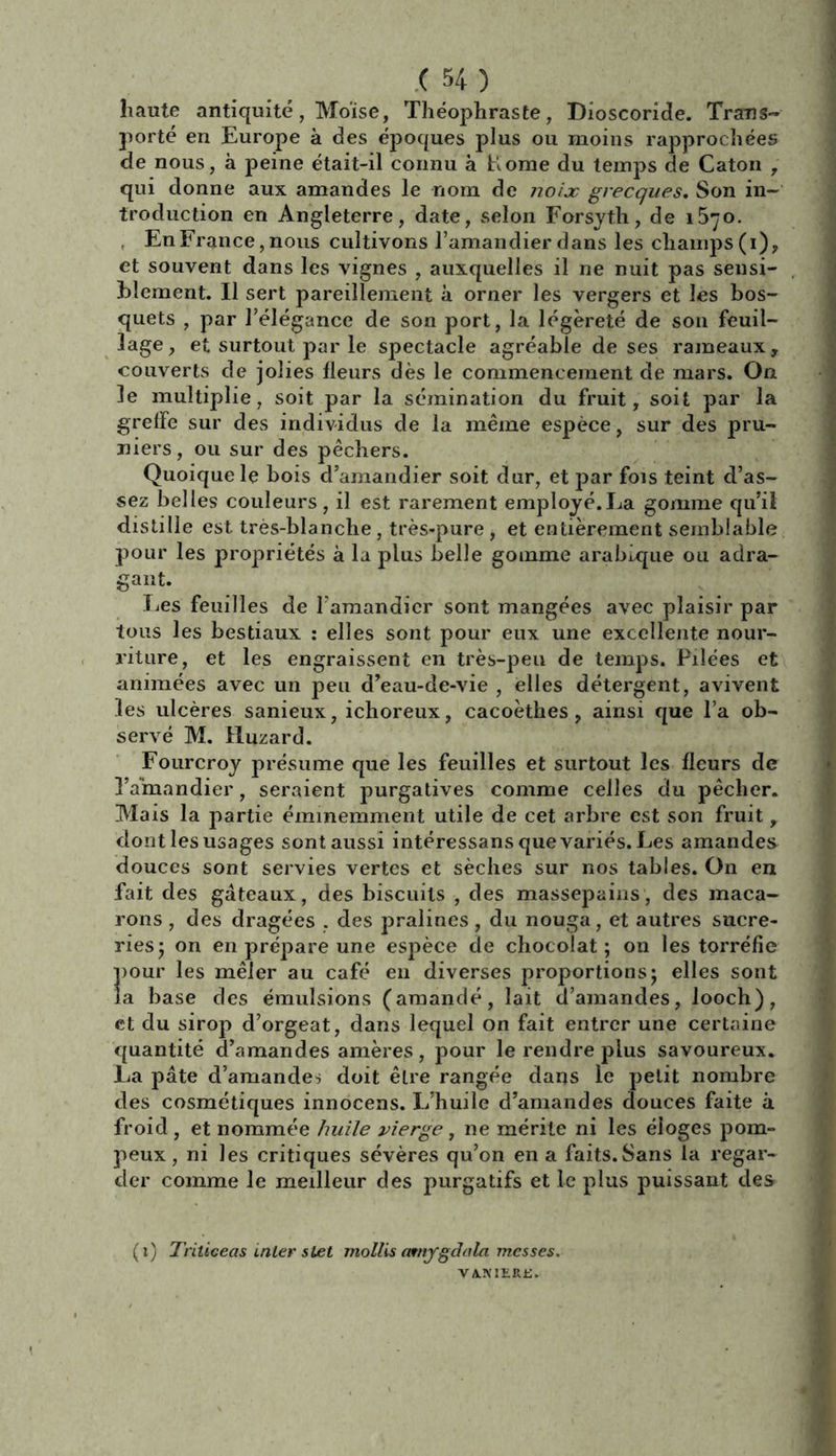 haute antiquité, Moïse, Théophraste, Dioscoride. Trans- porté en Europe à des époques plus ou moins rapprochées de nous, à peine était-il connu a home du temps de Caton , qui donne aux amandes le nom de noix grecques. Son in- troduction en Angleterre, date, selon Forsyth, de 15^0. . En France, nous cultivons l’amandier dans les champs (i), et souvent dans les vignes , auxquelles il ne nuit pas sensi- blement. Il sert pareillement à orner les vergers et les bos- quets , par l’élégance de son port, la légèreté de son feuil- lage, et surtout par le spectacle agréable de ses rameaux, couverts de jolies fleurs dès le commencement de mars. On le multiplie, soit par la sémination du fruit, soit par la greffe sur des individus de la même espèce, sur des pru- niers, ou sur des pêchers. Quoique le bois d’amandier soit dur, et par fois teint d’as- sez belles couleurs, il est rarement employé.La gomme qu’il distille est très-blanche, très-pure , et entièrement semblable pour les propriétés à la plus belle gomme arabique ou adra- gant. Les feuilles de l’amandier sont mangées avec plaisir par tous les bestiaux : elles sont pour eux une excellente nour- riture, et les engraissent en très-peu de temps. Pilées et animées avec un peu d’eau-de-vie , elles détergent, avivent les ulcères sanieux, ichoreux, cacoèthes , ainsi que l’a ob- servé M. Huzard. Fourcroy présume que les feuilles et surtout les fleurs de l’amandier, seraient purgatives comme celles du pêcher. Mais la partie éminemment utile de cet arbre est son fruit, dont les usages sont aussi intéressans que variés. Les amandes douces sont servies vertes et sèches sur nos tables. On en fait des gâteaux, des biscuits , des massepains, des maca- rons , des dragées , des pralines , du nouga, et autres sucre- ries; on en prépare une espèce de chocolat; on les torréfie pour les mêler au café en diverses proportions; elles sont la base des émulsions (amandé, lait d’amandes, looch), et du sirop d’orgeat, dans lequel on fait entrer une certaine quantité d’amandes amères, pour le rendre plus savoureux. La pâte d’amandes doit être rangée dans le petit nombre des cosmétiques innocens. L’huile d’amandes douces faite a froid , et nommée huile vierge, ne mérite ni les éloges pom- peux , ni les critiques sévères qu’on en a faits.Sans la regar- der comme le meilleur des purgatifs et le plus puissant des (i) Triticeas inter stet mollis ornygdala messes.