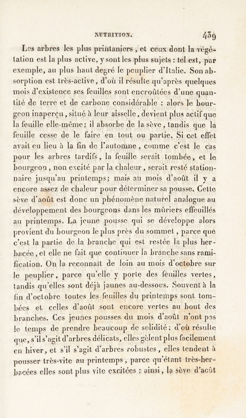 Los arbres les plus printaniers , et ceux dont ta végé- tation est la plus active, y sont les plus sujets : tel est, par exemple, au plus haut degré le peuplier d’Italie. Son ab- sorption est très-active, d’où il résulte qu’après quelques mois d’existence ses feuilles sont encroûtées d’une quan- tité de terre et de carbone considérable : alors le bour- geon inaperçu, situé à leur aisselle, devient plus actif que la feuille elle-même; il absorbe de la sève, tandis que la feuille cesse de le faire en tout ou partie. Si cet effet avait eu lieu à la fin de l’automne , comme c’est le cas pour les arbres tardifs, la feuille serait tombée, et le bourgeon, non excité par la chaleur , serait resté station- naire jusqu’au printemps; mais au mois d’août il y a encore assez de chaleur pour déterminer sa pousse. Cette sève d’août est donc un phénomène naturel analogue au développement des bourgeons dans les mûriers effeuillés au printemps. La jeune pousse qui se développe alors provient du bourgeon le plus près du sommet, parce que c’est la partie de la branche qui est restée la plus her- bacée, et elle ne fait que continuer la branche sans rami- fication. On la reconnaît de loin au mois d’octobre sur le peuplier, parce qu’elle y porte des feuilles vertes, tandis qu’elles sont déjà jaunes au-dessous. Souvent à la fin d’octobre toutes les feuilles du printemps sont tom- bées et celles d’août sont encore vertes au bout des branches. Ces jeunes pousses du mois d’août; n’ont pas le temps de prendre beaucoup de solidité; d’où résulte que, s’il s’agit d’arbres délicats, elles gèlent plus facilement en hiver, et s’il s’agit d’arbres robustes, elles tendent à pousser très-vite au printemps, parce qu’étant très-her- bacées elles sont plus vite excitées ; ainsi, la sève d’aeût