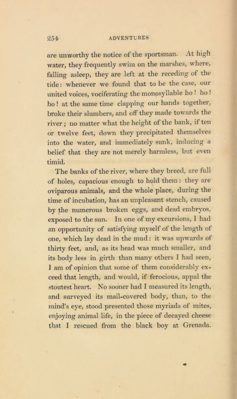 are unworthy the notice of the sportsman. At high water, they frequently swim on the marshes, wliere, falling asleep, they are left at the receding of the tide: whenever w'e found that to be the case, our united voices, vociferating the monosyllable ho ! ho ! ho ! at the same time clapping our hands together, broke their slumbers, and off they made towards the river; no matter what the height of the bank, if ten or tAvelve feet, down they precipitated themselves into the water, and immediately sunk, inducing a belief that they are not merely harmless, but even timid. The banks of the river, where they breed, are full of holes, capacious enough to hold them : they are oviparous animals, and the whole place, during the time of incubation, has an unpleasant stench, caused by the numerous broken eggs, and dead embryos, exposed to the sun. In one of my excursions, I had an opportunity of satisfying myself of the length of one, which lay dead in the mud: it was upwards of thirty feet, and, as its head -was much smaller, and its body less in girth than many others I had seen, I am of opinion that some of them considerably ex- ceed that length, and would, if ferocious, appal the stoutest heart. No sooner had I measured its length, and surveyed its mail-covered body, than, to the mind’s eye, stood presented those myriads of mites, enjoying animal life, in the piece of decayed cheese that I rescued from the black boy at Grenada.