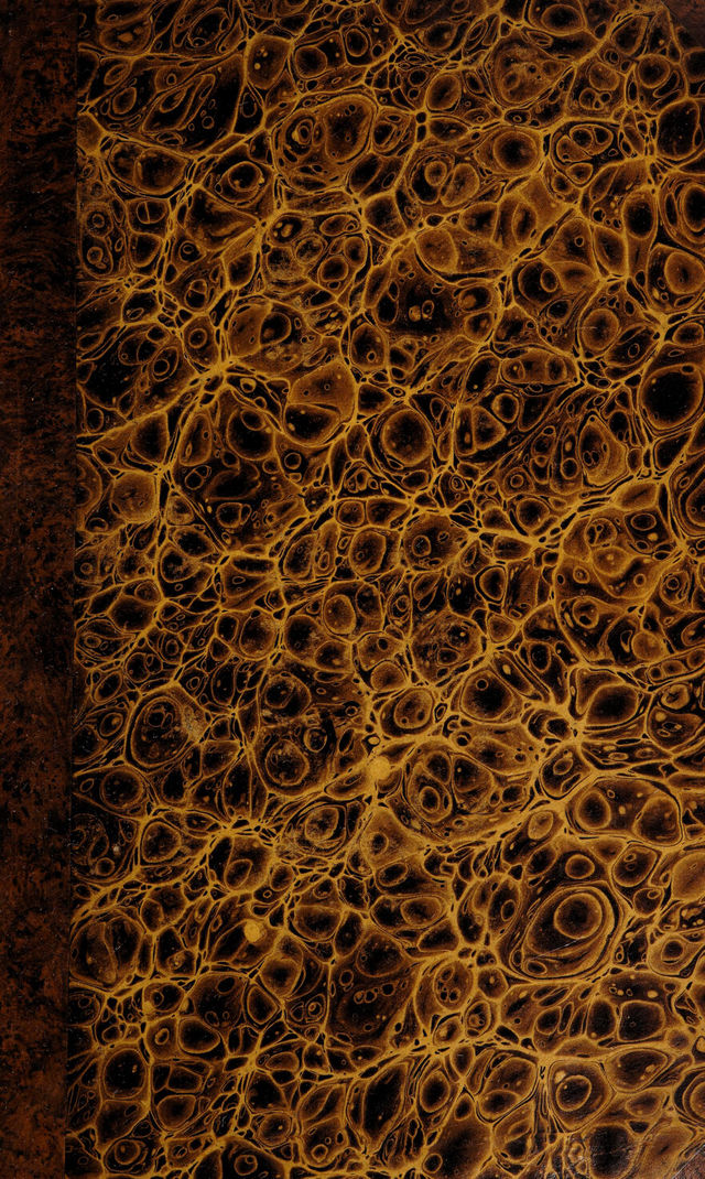 digitised image 1