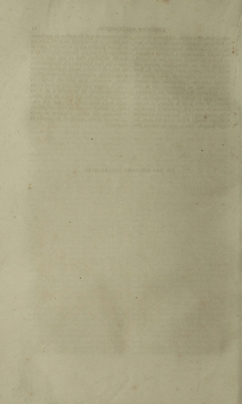 ■ ' V • ' ’ ■' * **