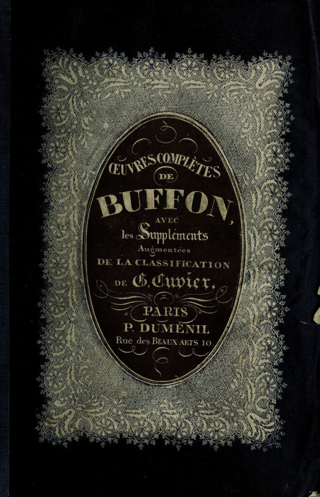 digitised image 1