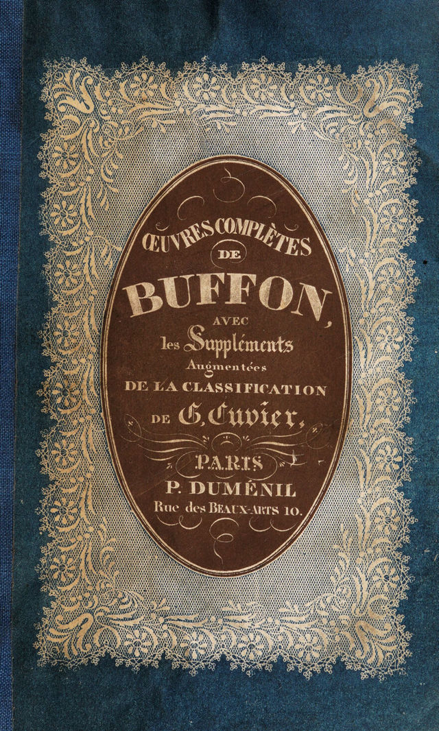 digitised image 1
