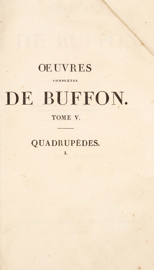 digitised image 3