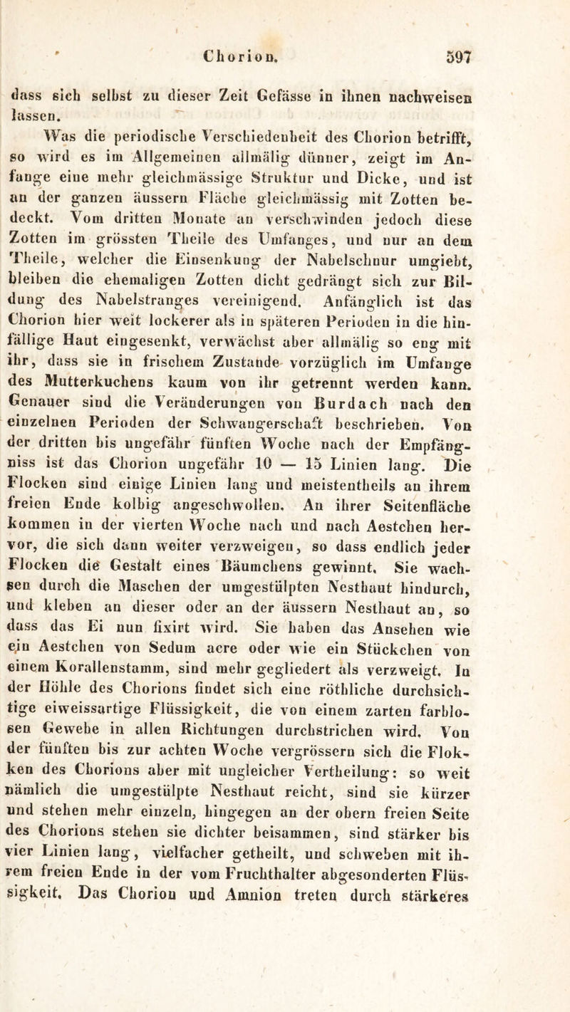 dass sich selbst zu dieser Zeit Gefässe in ihnen nachweisen lassen. Was die periodische Verschiedenheit des Chorion hetrilFt, so wird es iin Allgemeinen ailmälig dünner, zeigt im An- fänge eine mehr gleichmässige Struktur und Dicke, und ist an der ganzen äussern Fläche gleiclimässig mit Zotten be- deckt. Vom dritten Monate an verschwinden jedoch diese Zotten im grössten Theile des Umfanges, und nur an dem Theile, welcher die Einsenkung der Nabelschnur umgiebt, bleiben die ehemaligen Zotten dicht gedrängt sich zur Bil- dung des Nabelstranges vereinigend. Anfänglich ist das Chorion hier weit lockerer als in späteren Perioden in die hin- fällige Haut eingesenkt, verwachst aber allmälig so eng mit ihr, dass sie in frischem Zustande vorzüglich im Umfange des Mutterkuchens kaum von ihr getrennt werden kann. Genauer sind die Veränderungen von Burdach nach den einzelnen Perioden der Schwangerschaft beschrieben. Von der dritten bis ungefähr fünften Woche nach der Empfäng- niss ist das Chorion ungefähr 10 — 15 Linien lang. Die Flocken sind einige Linien lang und meistentheUs an ihrem freien Ende kolbig angeschwollen. An ihrer Seitenfläche kommen in der vierten VV^oche nach und nach Aestchen her- vor, die sich dann weiter verzweigen, so dass endlich jeder Flocken die' Gestalt eines 'Bäumchens gewinnt, Sie wach- sen durch die Maschen der umgestülpten Nesthaut hindurch, und kleben an dieser oder an der äussern Nesthaut an, so dass das Ei nun fixirt wird. Sie haben das Ansehen wie ejn Aestchen von Sedum acre oder wie ein Stückchen von einem Korallenstamm, sind mehr gegliedert als verzweigt. In der Höhle d es Chorions findet sich eine röthliche durchsich- tige eiweissartige Flüssigkeit, die von einem zarten farblo- sen Gewebe in allen Richtungen durchstrichen wird. Von der fünften bis zur achten Woche vergrössern sich die Flok- ken des Chorions aber mit ungleicher Vertheilung: so weit nämlich die umgestülpte Nesthaut reicht, sind sie kürzer und stehen mehr einzeln, hingegen an der obern freien Seite des Chorions stehen sie dichter beisammen, sind stärker bis vier Linien lang, vielfacher getheilt, und schweben mit ih- rem freien Ende in der vom Fruchthalter abgesonderten Flüs^ gigkeit. Das Choriou und Amnion treten durch stärkeres I