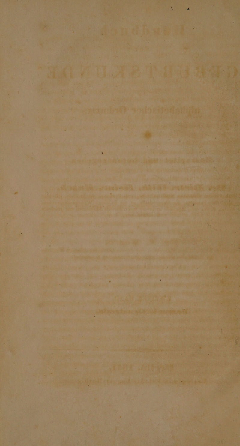 WEN: Der >’ x . a, Ruck; ir Fi u 7 2 1 ' ee . u er BR... ar “ gr = a OR: Au