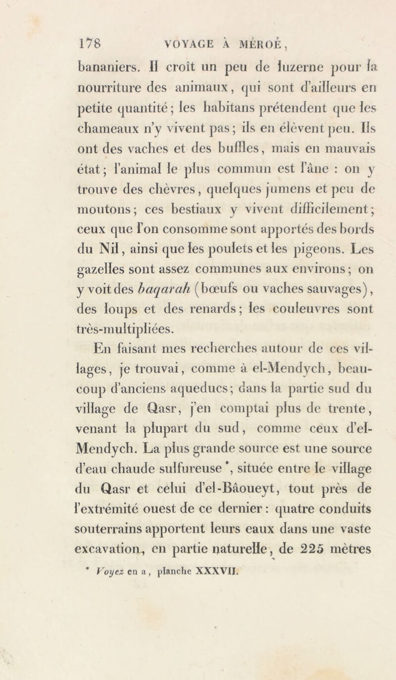 bananiers. H croît un peu de luzerne pour îa. nourriture des animaux, qui sont d’ailleurs en petite quantité ; les habitans prétendent que les chameaux n’y vivent pas; ils en élèvent peu. Ils ont des vaches et des buffles, mais en mauvais état ; l’animal le plus commun est l’âne : on y trouve des chèvres, quelques jumens et peu de moutons ; ces bestiaux y vivent difficilement ; ceux que l’on consomme sont apportés des bords du Nil, ainsi que les poulets et les pigeons. Les gazelles sont assez communes aux environs ; on y voitdes haqara/i (bœufs ou vaches sauvages), des loups et des renards ; les couleuvres sont très-multipliées. En faisant mes recherches autour de ces vil- lages, je trouvai, comme à el-Mendych, beau- coup d’anciens aqueducs; dans la partie sud du village de Qasr, j’en comptai plus de trente, venant la plupart du sud, comme ceux d’el- Mendych. La plus grande source est une source d’eau chaude sulfureuse *, située entre le village du Qasr et celui d’el-Bâoueyt, tout près de l’extrémité ouest de ce dernier : quatre conduits souterrains apportent leurs eaux dans une vaste excavation^ en partie naturelle, de 225 mètres * y'oyez en a , planche XXXVII.