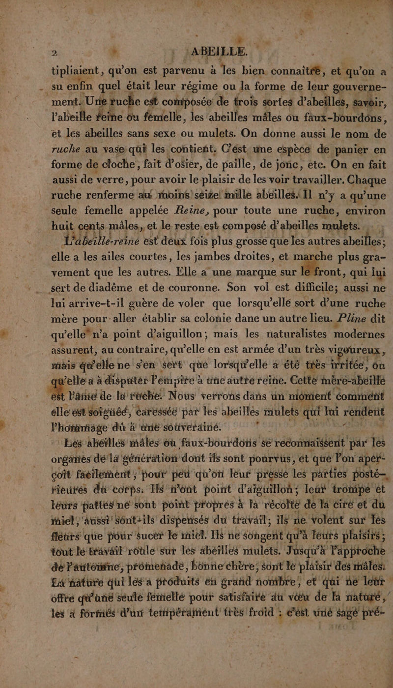 - su enfin quel était leur régime ou la forme de leur gouverne- ment. Un e ruche est composée de frois sortes d’abeilles, savoir, l'abeille eine bu fémelle, les abeilles mâles ou faux-bourdôns, et les abeilles sans sexe ou mulets. On donne aussi le nom de ruche au vase qüi les contieñt. Cést. me espèce de panier en forme de cloche, fait d’osier, de paille, de jonc, etc. On en fait aussi LITE verre, pour avoir le-plaisir de les voir travailler. Ghique ruche renferme au rboïhé'séigel mille abeilles {11 ny a qu'une seule femelle appelée Reine, pour toute une ruche, enyiron Ru cents mâles, et le reste,est composé d’abeilles mulets. | Tbeillereiné est deux fois plus grosse que les autres abeilles; “ a les ailes courtes, les jambes droites, et marche plus gra- vement que les autres. Elle a une marque sur léfront, qui lui sert de diadème et de couronne. Son vol est difficile; aussi ne lui arrive-t-il guère de voler que lorsqu’ellé sort d’une ruche mère Dour aller établir sa colonie dane un autre lieu. Pline dit qu elle n’a point d’aiguillon; mais les naturalistes modernes _ assurent, au contraire, qu’elle en est armée d’un très M, t mais quelle ne sen sert que lorsqu'elle à été téès 1rr rritée, où Pelle a à dispatér Penpire! à une autté reine. Cette ibre-abetité Périe de la rwéhe: Nous verrons dans un mômient comment lle ést soistiéé, ‘éaressée par les abéiHés iulets quil ui rendent Phonmiage dû à unié soüverainé. 1 Ees abéïllés mäles où faux-bourdonis $e recormaiséentt par les organés dé'lé génération dont îls sont pourvus, et que Yon aper- coit faéilernérit; pour pet qu'on Iéuf presse Les parties posté, | Heures du corps. IIS Wont point d'aiguillon; eût trompe ét téurs pattéÿ né sont point proprés à fa récolte de la éiré et du miel, ‘atissi' Sont ils dispensés du travail; ils ne volent sur Jés fleurs que pour sucer Ie miel. IIS ne sheet qu'à leurs plaisiré; tout le travail roule sur les äbétlles muléts. Jüsqu'à Papptoche dé Fautoisne, prômeñade, bonne éhère; sont le plaisir des mâles: LA mature qui lés à prôdurts en érahd PRIE et qui ne letr cffté jéfune seule fémellé pour satisfaire dt vœu de A naturé ,/ les à formés d'un tetripérainient très froid ds vaé sage pré-