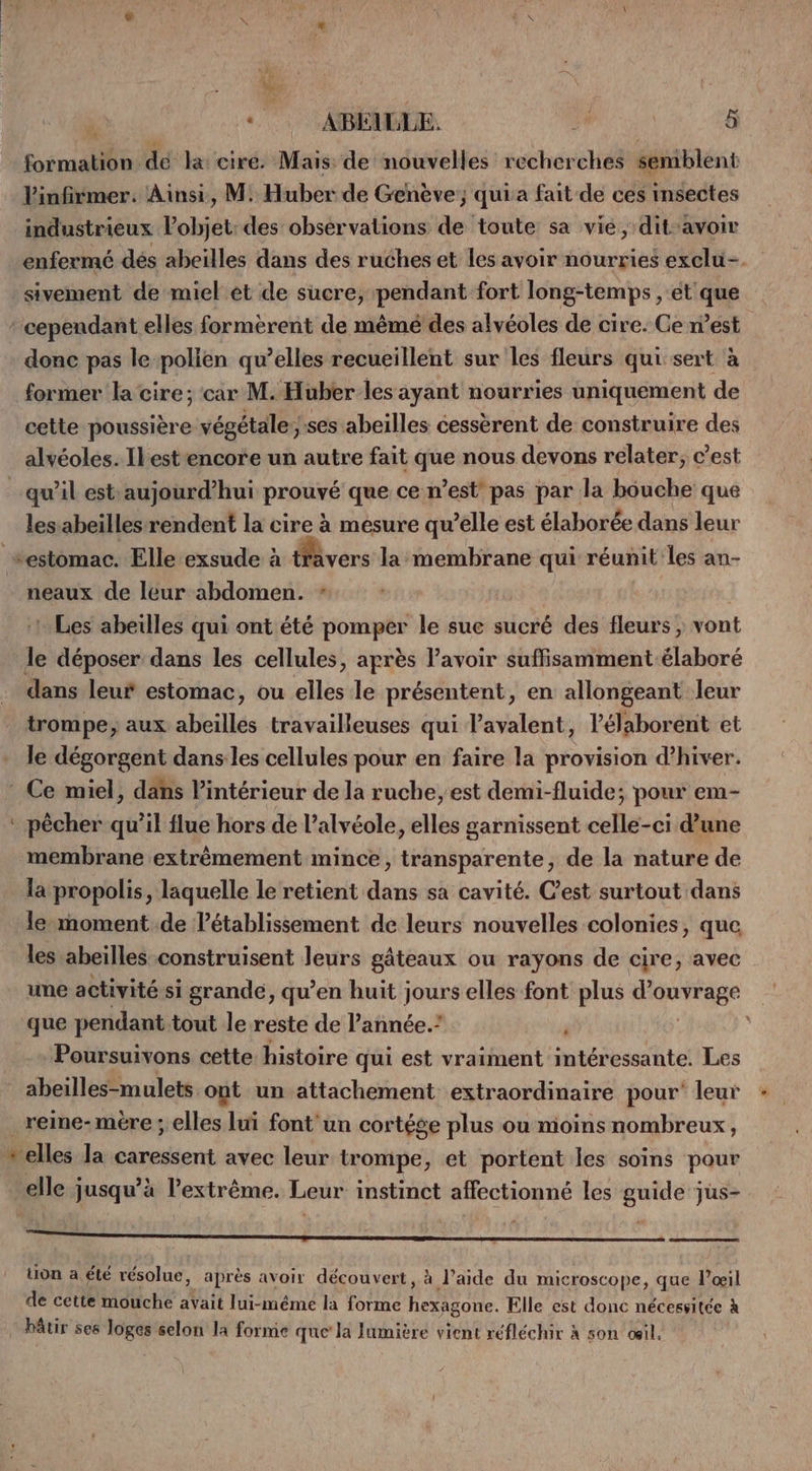 .# FLO «11 ABELLLE. HA 5 formation dé la: ciré. Mais: de nouvelles recherches semblent Vinfirmer. Ainsi, M: Huber de Genève; qui a fait de ces insectes industrieux l’objet: des observations de toute sa vie, dit-avoir enfermé dés abeilles dans des ruches et les avoir nourries exclu-. sivement de miel et de sucre, pendant fort long-temps , et que a donc pas le-polien qu’elles recueillent sur les fleurs qui sert à former la cire; car M. Huber les ayant nourries uniquement de cette poussière végétale ;:ses abeilles cessèrent de construire des alvéoles. Ilestencore un autre fait que nous devons relater, c’est les abeilles rendent la cire à mesure qu’elle est élaborée dans leur neaux de leur abdomen. :. Les abeilles qui ont été pomper le sue sucré des fleurs ; vont le déposer dans les cellules, après lavoir suffisamment-élaboré dans leur estomac, ou elles le présentent, en allongeant leur trompe; aux abeilles travailleuses qui l’avalent, lélaborént et le dégorgent dans les cellules pour en faire la provision d’hiver. pècher qu’il flue hors de l’alvéole, elles garnissent celle-ci d’une membrane extrêmement mince, transparente, de la nature de la propolis, laquelle le retient dans sa cavité. C’est surtout dans le-moment.de établissement de leurs nouvelles colonies, que les abeilles construisent leurs gâteaux ou rayons de cire, avec une activité si grande, qu’en huit jours elles font plus d'ouvrage . Poursuivons cette histoire qui est vraiment intéressante. Les reme-mèére ; elles lui font'un cortége plus ou moins nombreux, ï 1 vue 3: . . e »> J e . , elle jusqu’à l'extrême. Leur instinct affectionné les guide jus- Ÿ PAT ’ - ) - . . uon a été résolue, après avoir découvert, à l’aide du microscope, que l'œil de cette mouche avait lui-même la forme hexagone. Elle est donc nécessitée À
