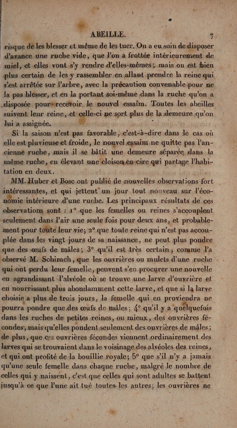 risque dé les blesser et même de les tuer, On a eu soin de disposer d'avance une ruche vide, que l'on à frattée intérieurement de aniel, et.elles vont s’y rendre d’elles-mêmes;. mais on est bien plus certain de les y rassembler en allant prendre la reine qui s’est arrêtée sur l’arbre, avec la précaution convenable pour ne la pas blesser, et en la portant soi-même dans la ruche qu’on a -disposée pourrecévoir Je nouvel essaim. Toutes les abeilles, suivent leur reine, et: | me sort plus de la demeure qu’on lui a assignée. | Si la saison m’est pas favorable , c’est-à-dire dans de cas où elle est-pluvieuse.et froide, le nouvel.essaim,ne quitte pas l’an- <ienné ruche, mais äl.se bâtit une demeure séparée, dans. la même ruche, en élevant une-cloisonsen:cire qui partage Phabi- tation en deux. MM.Huber et Bosc ont publié de nouvelles observations fort intéressantes, et qui jettent un jour tout nouveau, sur léco- le A d’une ruche. Les principaux résultats de ces observations sont : 1° que les femelles ou reines s’accouplent “seulement dans l’air une seule fois pour deux ans, et probable- ment-pour toûüte leur vie; 2°.que toute reine qui n’est pas açcou- plée dans les vingt jours de sa-naissance, ne peut plus pondre que des œufs de mâles; 3° qu'il est très certain, conme Ja observé M. Schirach, que les ouvrières ou mulets d'une ruche qui-ont perdu leur femelle, peuvent s’en procurer une nouvelle en agrandissant l’alvéole où se trouve une Jarve d’ouyrière .et en nourrissant.plus abondamment cette larve, et que si la larve choisie a plus de trois jours, la femelle qui en proviendra ne pourra pondre que, des œufs de mâles; 4° qu'il y a quelquefois dans les ruches de petites reines, ou mieux , des ouvrières fé- condes', mais qu’elles pondent, seulement des ouvrières.de mâles; de plus, que. ces ouvrières fécondes viennent ordinairement des larves qui se trouvaient dans le voisinage des alvéoles.des reines, et qui ont profité dela bouillie royale; 5° que s’il n’y a jamais qu'une seule femelle dans chaque ruche, malgré le nombre de celles qui y naissent, c’est que celles qui sont adultes se battent jusqu’à ce que l’une ait tué toutes les autres; les ouvrières ne