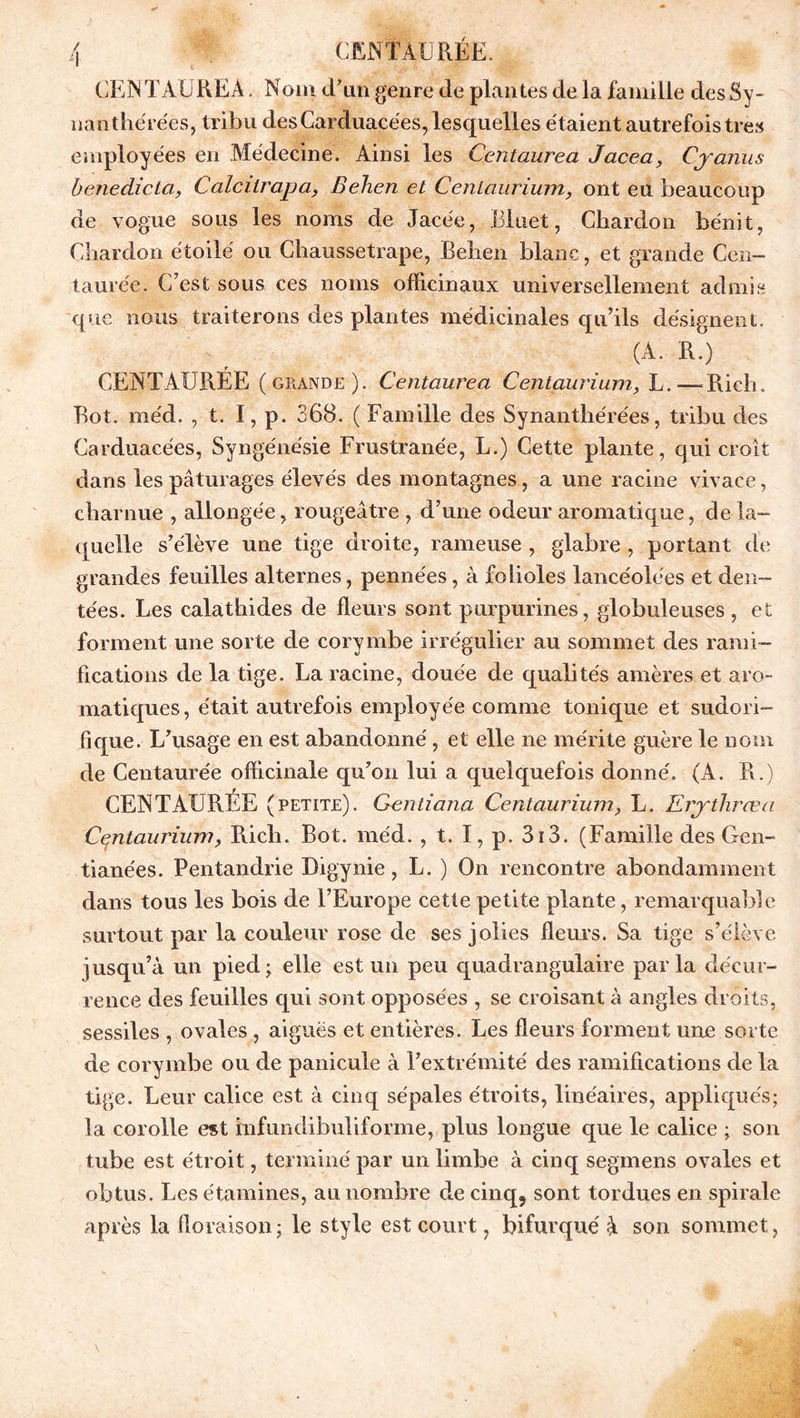 CEN TAURE A. Nom d’un genre de plantes de la famille des Sy- nanthérées, tribu des Carduacées, lesquelles étaient autrefois très employées en Médecine. Ainsi les Centaurea Jacea, Cyanus benedicta, Calcitrapa, Behen et Centaurium, ont eu beaucoup de vogue sous les noms de Jacée, Bluet, Chardon bénit, Chardon étoilé ou Chaussetrape, Rehen blanc, et grande Cen- taurée. C’est sous ces noms officinaux universellement admis que nous traiterons des plantes médicinales qu’ils désignent. (A. R.) CENTAUREE (grande). Centaurea Centaurium, L.—Rieh. Rot. méd. , t. I, p. 368. ( Famille des Synanthérées, tribu des Carduacées, Syngénésie Frustranée, L.) Cette plante, qui croît dans les pâturages élevés des montagnes, a une racine vivace, charnue , allongée, rougeâtre , d’une odeur aromatique, de la- quelle s’élève une tige droite, rameuse, glabre , portant de grandes feuilles alternes, pennées, à folioles lancéolées et den- tées. Les calathides de fleurs sont purpurines, globuleuses , et forment une sorte de corymbe irrégulier au sommet des rami- fications de la tige. La racine, douée de qualités amères et aro- matiques, était autrefois employée comme tonique et sudori- fique. L’usage en est abandonné, et elle ne mérite guère le nom de Centaurée officinale qu’on lui a quelquefois donné. (A. R.) CENTAUREE (petite). Gentiana Centaurium, L. Erythrœa Centaurium, Ricli. Bot. méd. , t. I, p. 3i3. (Famille des Gen- tianées. Pentandrie Digynie, L. ) On rencontre abondamment dans tous les bois de l’Europe cette petite plante, remarquable surtout par la couleur rose de ses jolies fleurs. Sa tige s’élève jusqu’à un pied ; elle est un peu quadrangulaire parla clécur- rence des feuilles qui sont opposées , se croisant à angles droits, sessiles , ovales , aiguës et entières. Les fleurs forment une sorte de corymbe ou de panicule à l’extrémité des ramifications de la tige. Leur calice est à cinq sépales étroits, linéaires, appliqués; la corolle est infundibuliforme, plus longue que le calice ; son tube est étroit, terminé par un limbe à cinq segmens ovales et obtus. Les étamines, au nombre de cinq, sont tordues en spirale après la floraison ; le style est court, bifurqué à son sommet,