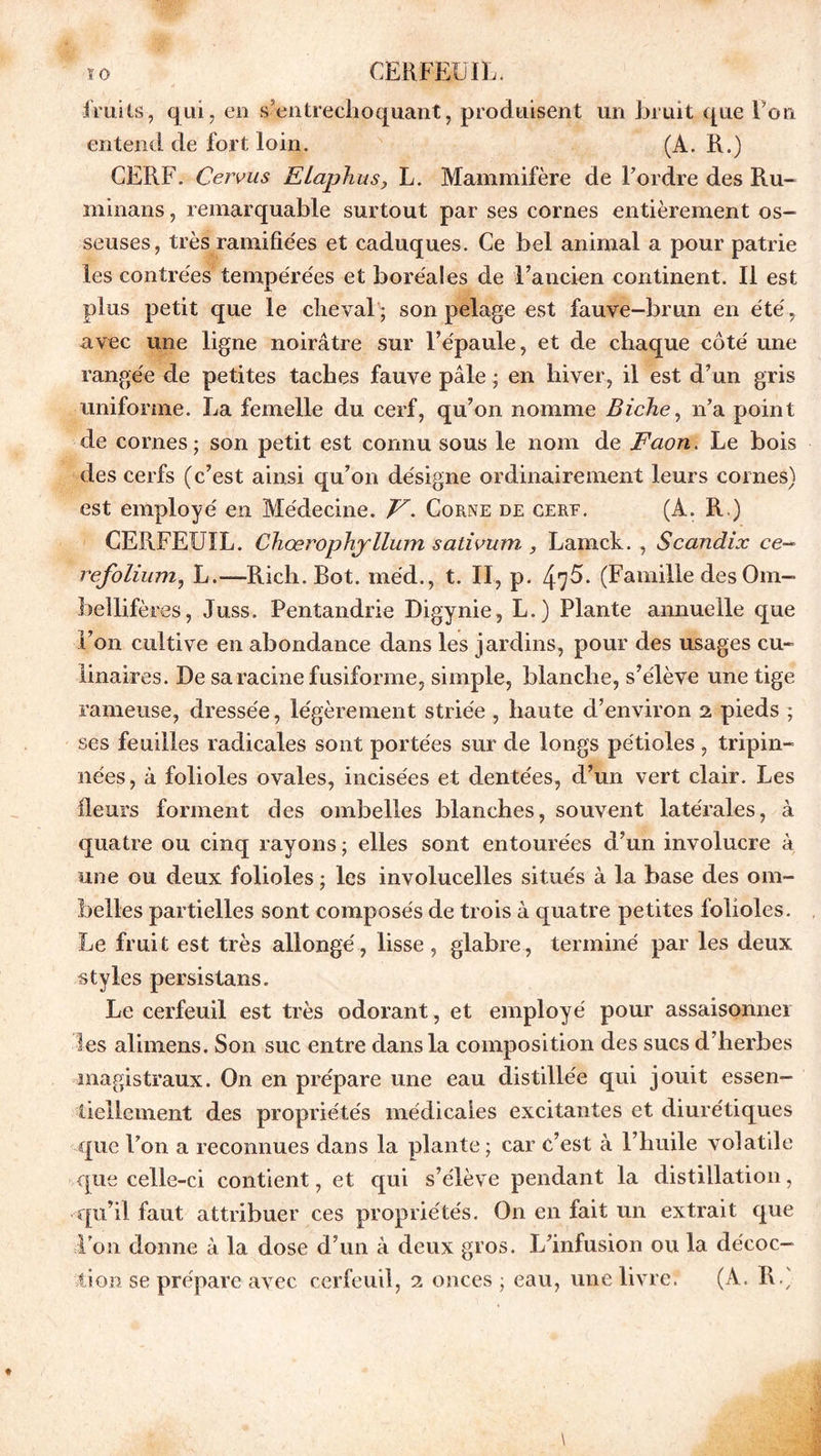 io CERFEUIL. fruits, qui, en s’entrechoquant, produisent un bruit que Ton entend de fort loin. (A. R.) CERF. Ceivus Elaphus, L. Mammifère de Fordre des Ru- minans, remarquable surtout par ses cornes entièrement os- seuses, très ramifiées et caduques. Ce bel animal a pour patrie les contrées tempérées et boréales de l’ancien continent. Il est plus petit que le cheval; son pelage est fauve-brun en été, avec une ligne noirâtre sur l’épaule, et de chaque côté une rangée de petites taches fauve pâle ; en hiver, il est d’un gris uniforme. La femelle du cerf, qu’on nomme Biche, n’a point de cornes; son petit est connu sous le nom de Faon. Le bois des cerfs (c’est ainsi qu’on désigne ordinairement leurs cornes) est employé en Médecine. V- Corne de cerf. (A. R.) CERFEUIL. Chœrophyllum sativum , Lamck. , Scandix ce- refolium, L.—Rich.Bot. méd., t. II, p. ^5. (Famille des Om- bellifères, Juss. Pentandrie Digynie, L.) Plante annuelle que l’on cultive en abondance dans les jardins, pour des usages cu- linaires. De sa racine fusiforme, simple, blanche, s’élève une tige rameuse, dressée, légèrement striée , haute d’environ 2 pieds ; ses feuilles radicales sont portées sur de longs pétioles , tripin- nées, à folioles ovales, incisées et dentées, d’un vert clair. Les fleurs forment des ombelles blanches, souvent latérales, à quatre ou cinq rayons ; elles sont entourées d’un involucre à une ou deux folioles ; les involucelles situés à la base des om- belles partielles sont composés de trois à quatre petites folioles. Le fruit est très allongé, lisse , glabre, terminé par les deux styles persistans. Le cerfeuil est très odorant, et employé pour assaisonner les alimens. Son suc entre dans la composition des sucs d’herbes magistraux. On en prépare une eau distillée qui jouit essen- tiellement des propriétés médicales excitantes et diurétiques que l’on a reconnues dans la plante; car c’est à l’huile volatile que celle-ci contient, et qui s’élève pendant la distillation, qu’il faut attribuer ces propriétés. On en fait un extrait que l’on donne à la dose d’un à deux gros. L’infusion ou la décoc- tion se prépare avec cerfeuil, 2 onces ; eau, une livre. (A. Ré