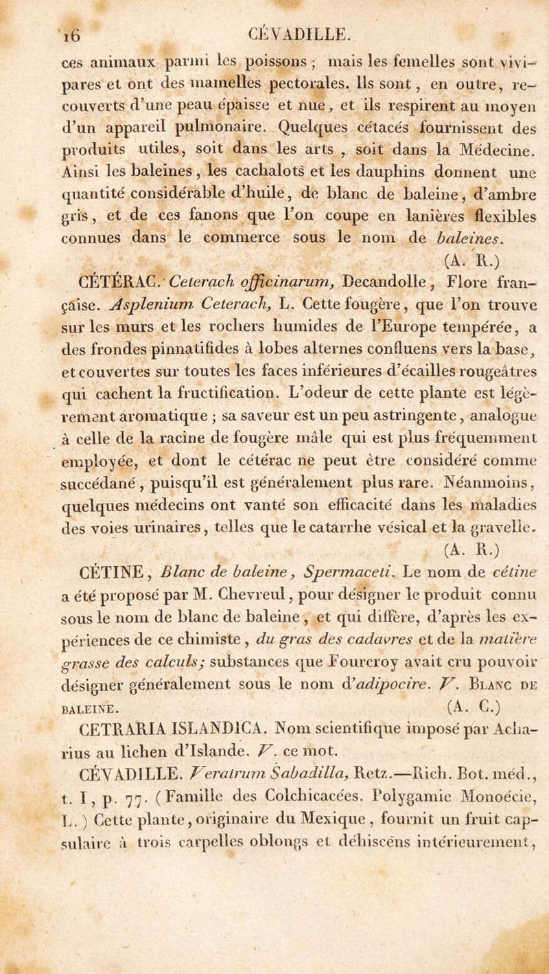 ces animaux parmi les poissons ; mais les femelles sont vivi- pares et ont des mamelles pectorales. Ils sont, en outre, re- couverts d’une peau épaisse et nue, et ils respirent au moyen d’un appareil pulmonaire. Quelques cétacés fournissent des produits utiles, soit dans les arts , soit dans la Médecine. Ainsi les baleines, les cachalots et les dauphins donnent une quantité considérable d’huile, de blanc de baleine, d’ambre gris, et de ces fanons que l’on coupe en lanières flexibles connues dans le commerce sous le nom de baleines. (A. R.) CÉTÉRAC . Ceterach qfficinarum, Decandolle , Flore fran- çaise. Asplénium Ceterach, L. Cette fougère, que l’on trouve sur les murs et les rochers humides de l’Europe tempérée, a des frondes pinnatifides à lobes alternes confluens vers la base, et couvertes sur toutes les faces inférieures d’écailles rougeâtres qui cachent la fructification. L’odeur de cette plante est légè- rement aromatique ; sa saveur est un peu astringente, analogue à celle de la racine de fougère mâle qui est plus fréquemment employée, et dont le cétérac ne peut être considéré comme succédané, puisqu’il est généralement plus rare. Néanmoins, quelques médecins ont vanté son efficacité dans les maladies des voies urinaires, telles que le catarrhe vésical et la graveile. (A. R.) CÉTINE, Blanc de baleine, Spermaceti. Le nom de cétine a été proposé par M. Chevreul, pour désigner le produit connu sous le nom de blanc de baleine , et qui diffère, d’après les ex- périences de ce chimiste , du gras des cadavres et de la matière grasse des calculs; substances que Fourcroy avait cru pouvoir désigner généralement sous le nom dyadipocire. V. Blanc de BALEINE. (A. G.) CETRARIA ISLAND1CA. Nom scientifique imposé par Acha- rius au lichen d’Islande. V. ce mot. CÉVADILLE. Veratrum Sabadilla, Retz.—Rich. Bot. méd., t. I, p, 77. (Famille des Colchicacées. Polygamie Monoécie, L. ) Cette plante, originaire du Mexique , fournit un fruit cap- sulaire à trois carpelles oblongs et déhiscëns intérieurement,