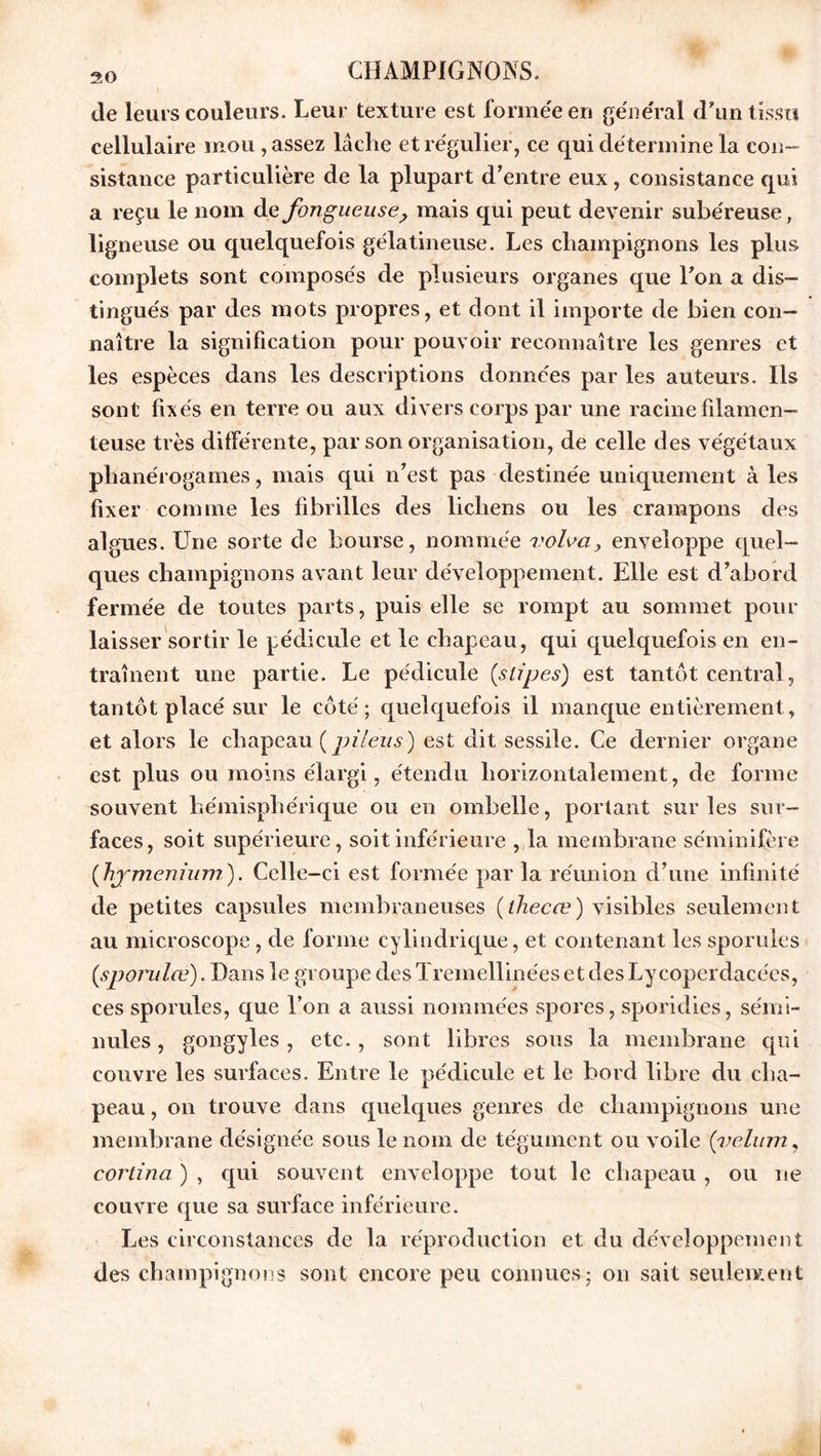 de leurs couleurs. Leur texture est formée en général d'un tissu cellulaire mou , assez lâche et régulier, ce qui détermine la con- sistance particulière de la plupart d’entre eux, consistance qui a reçu le nom de fongueuse, mais qui peut devenir subéreuse, ligneuse ou quelquefois gélatineuse. Les champignons les plus complets sont composés de plusieurs organes que l'on a dis- tingués par des mots propres, et dont il importe de bien con- naître la signification pour pouvoir reconnaître les genres et les espèces dans les descriptions données par les auteurs. Ils sont fixés en terre ou aux divers corps par une racine filamen- teuse très différente, par son organisation, de celle des végétaux phanérogames, mais qui n’est pas destinée uniquement à les fixer comme les fibrilles des lichens ou les crampons des algues. Une sorte de bourse, nommée vole a > enveloppe quel- ques champignons avant leur développement. Elle est d’abord fermée de toutes parts, puis elle se rompt au sommet pour laisser sortir le pédicule et le chapeau, qui quelquefois en en- traînent une partie. Le pédicule (.slipes) est tantôt central, tantôt placé sur le côté; quelquefois il manque entièrement, et alors le chapeau (pileus) est dit sessile. Ce dernier organe est plus ou moins élargi, étendu horizontalement, de forme souvent hémisphérique ou en ombelle, portant sur les sur- faces, soit supérieure, soit inférieure , la membrane séminifère (hyménium.). Celle-ci est formée par la réunion d’une infinité de petites capsules membraneuses (tliecœ) visibles seulement au microscope, de forme cylindrique, et contenant les sporules (sporulœ). Dans le groupe des Tremellinées et des Lycoperdacées, ces sporules, que l’on a aussi nommées spores, sporidies, sémi- nules, gongyles, etc., sont libres sous la membrane qui couvre les surfaces. Entre le pédicule et le bord libre du cha- peau, on trouve dans quelques genres de champignons une membrane désignée sous le nom de tégument ou voile (vélum, cortina ) , qui souvent enveloppe tout le chapeau , ou ne couvre que sa surface inférieure. Les circonstances de la réproduction et du développement des champignons sont encore peu connues; on sait seulement