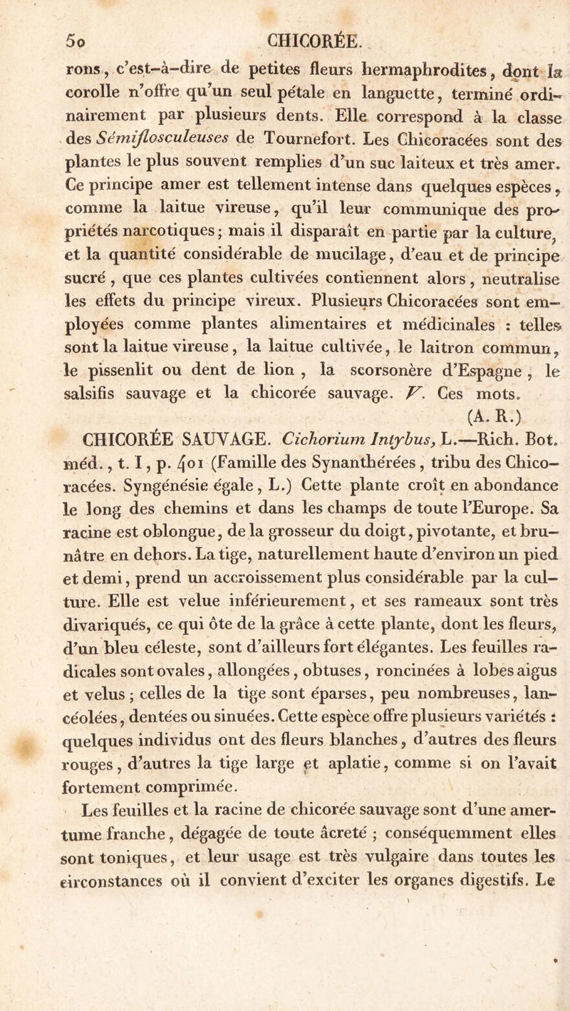 5© CHICORÉE. rons, c’est-à-dire de petites fleurs hermaphrodites, dpnt corolle n’offre qu’un seul pétale en languette, terminé ordi- nairement par plusieurs dents. Elle correspond à la classe des Sémijlosçuleuses de Tournefort. Les Ghicoracées sont des plantes le plus souvent remplies d’un suc laiteux et très amer. Ce principe amer est tellement intense dans quelques espèces 9 comme la laitue vireuse, qu’il leur communique des pro-' priétés narcotiques ; mais il disparaît en partie par la culture^ et la quantité considérable de mucilage, d’eau et de principe sucré , que ces plantes cultivées contiennent alors, neutralise les effets du principe vireux. Plusieurs Ghicoracées sont em- ployées comme plantes alimentaires et médicinales : telles- sont la laitue vireuse, la laitue cultivée, le laitron commun, le pissenlit ou dent de lion , la scorsonère d’Espagne , le salsifis sauvage et la chicorée sauvage. V. Ces mots. (A. R.) CHICORÉE SAUVAGE. Cichorium Intybus, L.—Rich. Bot. Biéd., 1.1, p. 4°i (Famille des Synanthérées, tribu des Chico- racées. Syngénésie égale , L.) Cette plante croît en abondance le long des chemins et dans les champs de toute l’Europe. Sa racine est oblongue, de la grosseur du doigt, pivotante, et bru- nâtre en dehors. La tige, naturellement haute d’environ un pied et demi, prend un accroissement plus considérable par la cul- ture. Elle est velue inférieurement, et ses rameaux sont très divariqués, ce qui ôte de la grâce à cette plante, dont les fleurs, d’un bleu céleste, sont d’ailleurs fort élégantes. Les feuilles ra- dicales sont ovales, allongées, obtuses, roncinées à lobes aigus et velus ; celles de la tige sont éparses, peu nombreuses, lan- céolées , dentées ou sinuées. Cette espèce offre plusieurs variétés : quelques individus ont des fleurs blanches, d’autres des fleurs rouges, d’autres la tige large et aplatie, comme si on l’avait fortement comprimée. Les feuilles et la racine de chicorée sauvage sont d’une amer- tume franche, dégagée de toute âcreté ; conséquemment elles sont toniques, et leur usage est très vulgaire dans toutes les circonstances où il convient d’exciter les organes digestifs. Le