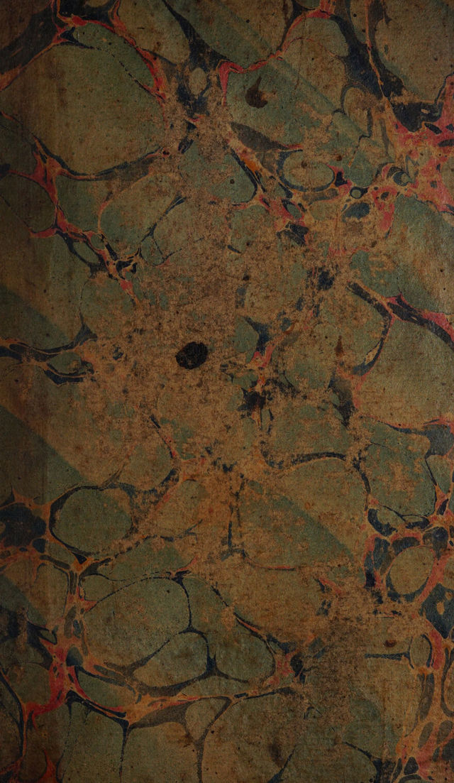 digitised image 1