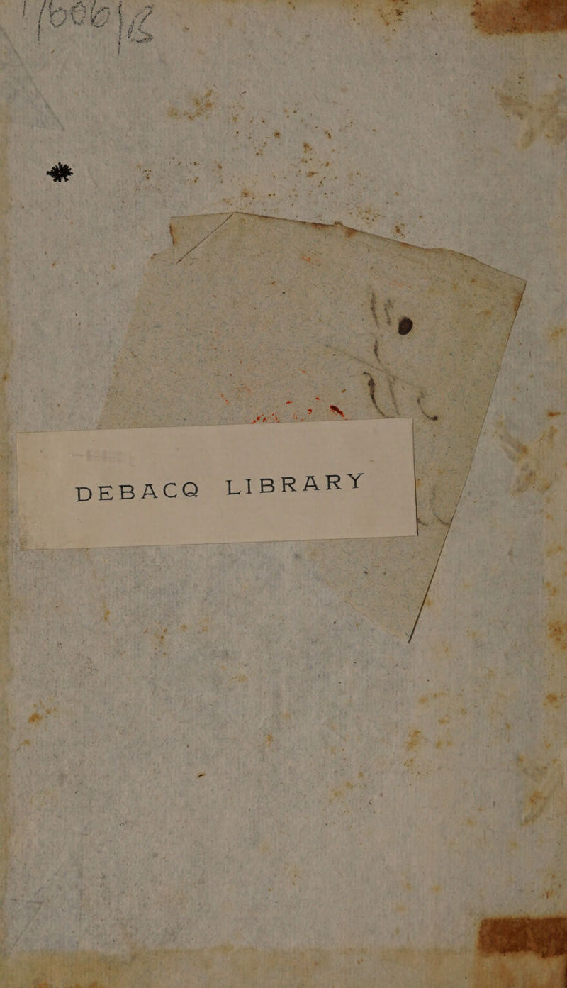 No text description is available for this image