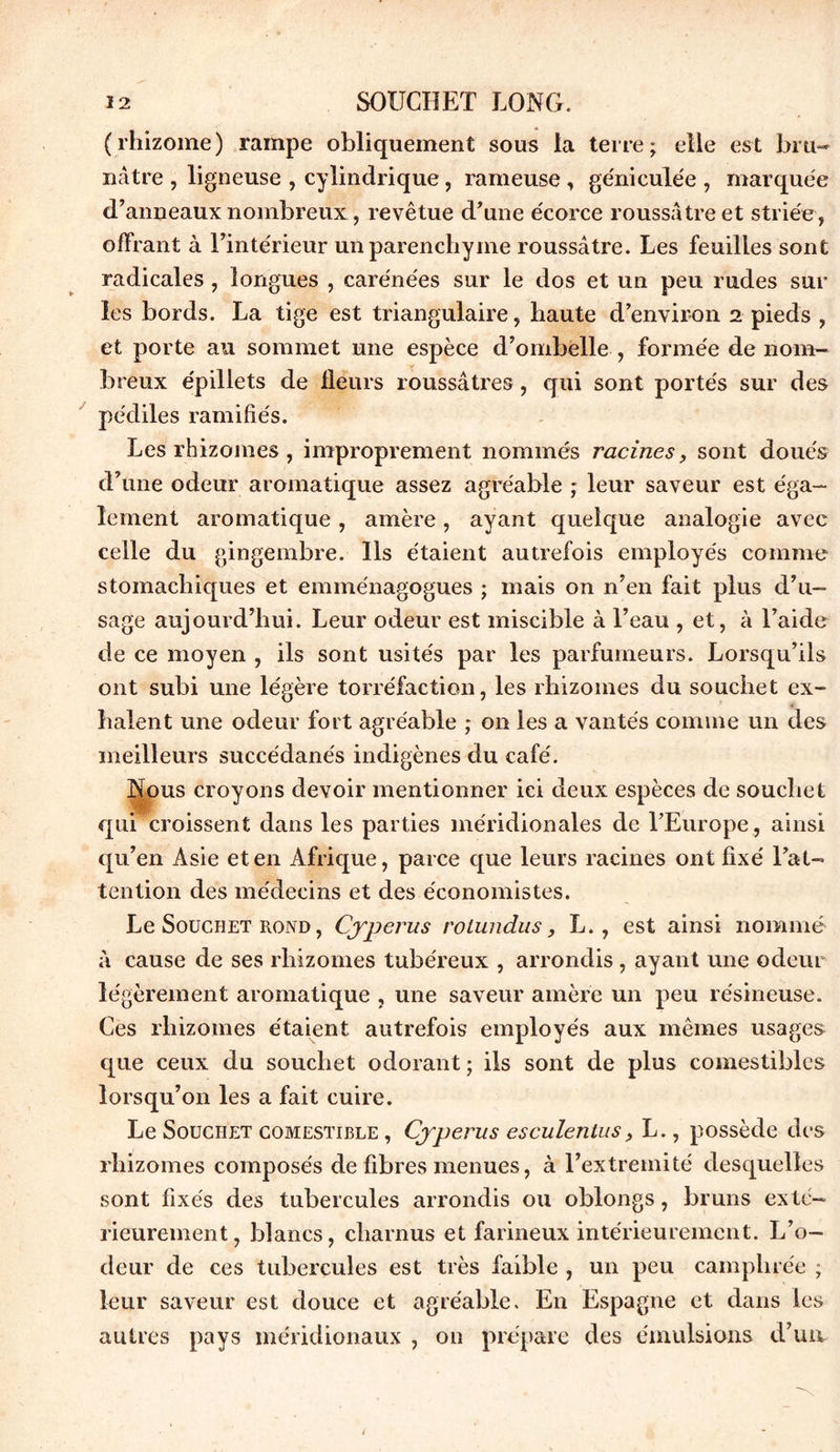 (rhizome) rampe obliquement sous la terre; elle est bru- nâtre , ligneuse , cylindrique, rameuse , gérri culée , marquée d’anneaux nombreux, revêtue d’une écorce roussâtre et striée, offrant à l’intérieur un parenchyme roussâtre. Les feuilles sont radicales , longues , carénées sur le dos et un peu rudes sur les bords. La tige est triangulaire, haute d’environ 2 pieds , et porte au sommet une espèce d’ombelle , formée de nom- breux épillets de Heurs roussâtres, qui sont portés sur des pédiles ramifiés. Les rhizomes , improprement nommés racines, sont doués d’une odeur aromatique assez agréable ; leur saveur est éga- lement aromatique, amère, ayant quelque analogie avec celle du gingembre. Ils étaient autrefois employés comme stomachiques et emménagogues ; mais on n’en fait plus d’u- sage aujourd’hui. Leur odeur est miscible à l’eau , et, à l’aide de ce moyen , ils sont usités par les parfumeurs. Lorsqu’ils ont subi une légère torréfaction, les rhizomes du souchet ex- halent une odeur fort agréable ; on les a vantés comme un des meilleurs succédanés indigènes du café. Nous croyons devoir mentionner ici deux espèces de souchet qui croissent dans les parties méridionales de l’Europe, ainsi qu’en Asie et en Afrique, parce que leurs racines ont fixé l’at- tention des médecins et des économistes. Le Souchet rond, Cjperus rolundus, L., est ainsi nommé à cause de ses rhizomes tubéreux , arrondis , ayant une odeur lé gèrement aromatique , une saveur amère un peu résineuse. Ces rhizomes étaient autrefois employés aux mêmes usages que ceux du souchet odorant ; ils sont de plus comestibles lorsqu’on les a fait cuire. Le Souchet comestible , Oyperus esculentus, L., possède des rhizomes composés de fibres menues, à l’extremité desquelles sont fixés des tubercules arrondis ou oblongs, bruns exté- rieurement, blancs, charnus et farineux intérieurement. L’o- deur de ces tubercules est très faible , un peu camphrée ; leur saveur est douce et agréable. En Espagne et dans les autres pays méridionaux , on prépare des émulsions d’un