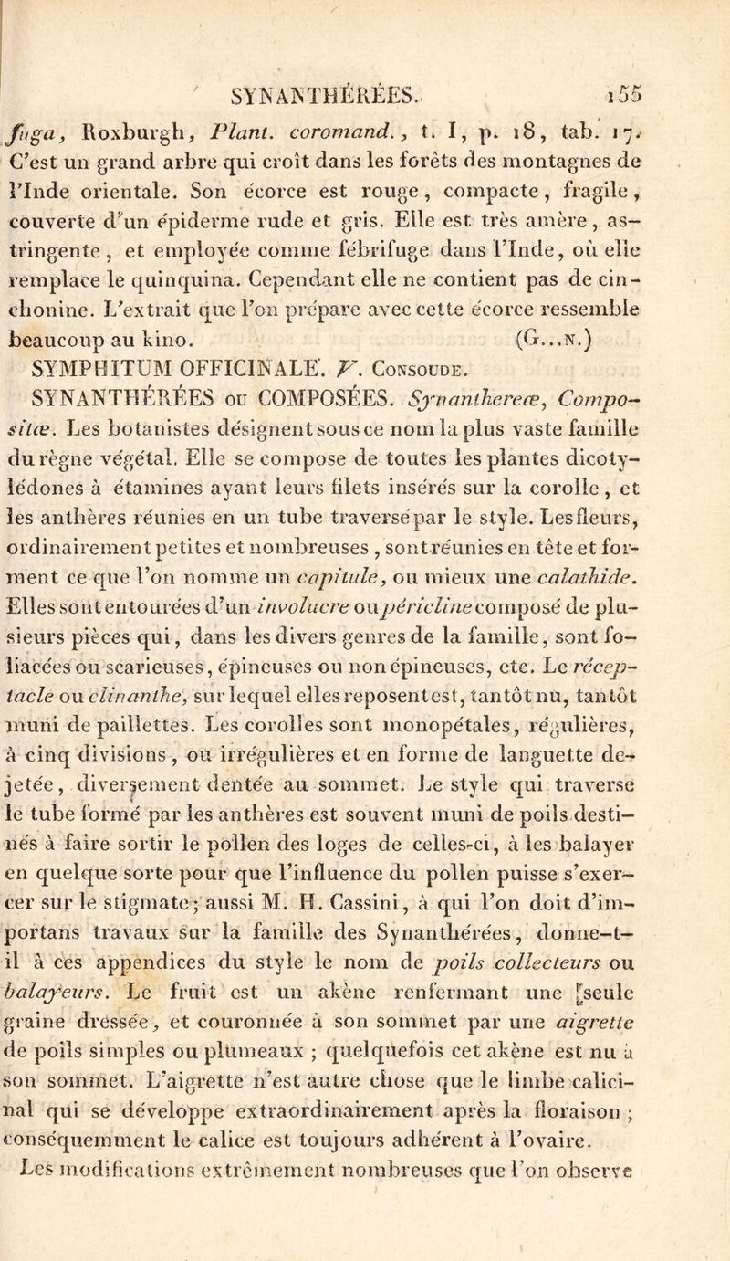 f'Sa> Roxburgh, Plant, coromand., t. ï, p. î8, tab. 17. C’est un grand arbre qui croît dans les forêts des montagnes de FInde orientale. Son écorce est rouge, compacte, fragile, couverte d'un épiderme rude et gris. Elle est très amère, as- tringente , et employée comme fébrifuge dans l’Inde, où elle remplace le quinquina. Cependant elle ne contient pas de cin- elionine. L’extrait que l’on prépare avec cette écorce ressemble beaucoup au kino. (G...N.) SYMPBÏTUM OFFICINALE. V. Consoude. SYNANTHÉRÉES ou COMPOSÉES. Synanthereœ, Compo- sites. Les botanistes désignent sous ce nom la plus vaste famille du règne végétal. Elle se compose de toutes les plantes dicoty- lédones à étamines ayant leurs filets insérés sur la corolle, et les anthères réunies en un tube traversé par le style. Les fleurs, ordinairement petites et nombreuses , sontréunies en tête et for- ment ce que l’on nomme un capitule, ou mieux une calathide. Elles sont entourées d’un involucre oupèricline composé de plu- sieurs pièces qui, dans les divers genres de la famille, sont fo- liacées ou scarieuses, épineuses ou non épineuses, etc. Le récep- tacle ou clinanthe, sur lequel elles reposentest, tantôt nu, tantôt muni de paillettes. Les corolles sont monopétales, régulières, à cinq divisions , ou irrégulières et en forme de languette de-* jetée, diversement dentée au sommet. Le style qui traverse le tube formé par les anthères est souvent muni de poils desti- nés à faire sortir le pollen des loges de celles-ci, à les balayer en quelque sorte pour que l’influence du pollen puisse s’exer- cer sur le stigmate ; aussi M. H. Cassini, à qui l’on doit d’im- portans travaux sur la famille des Synanthérées, donne-t- il à ces appendices du style le nom de poils collecteurs ou baladeurs. Le fruit est un akène renfermant une [seule graine dressée, et couronnée à son sommet par une aigrette de poils simples ou plumeaux ; quelquefois cet akène est nu a son sommet. L’aigrette n’est autre chose que le iiinbe calici- nal qui se développe extraordinairement après la floraison ; conséquemment le calice est toujours adhérent à l’ovaire. Les modifications extrêmement nombreuses que l’on observe