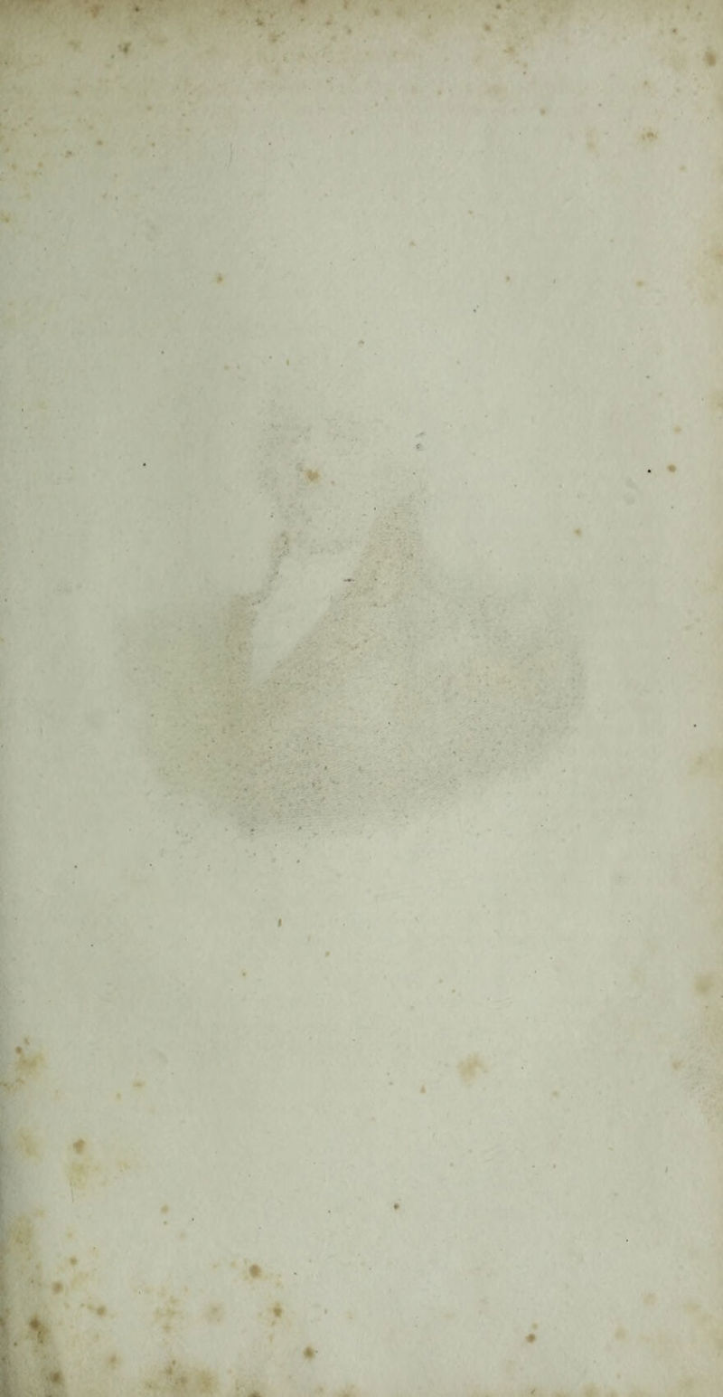 * ' w ■ . '•*. , . < - ■ « • • « é- ■ . *J» V