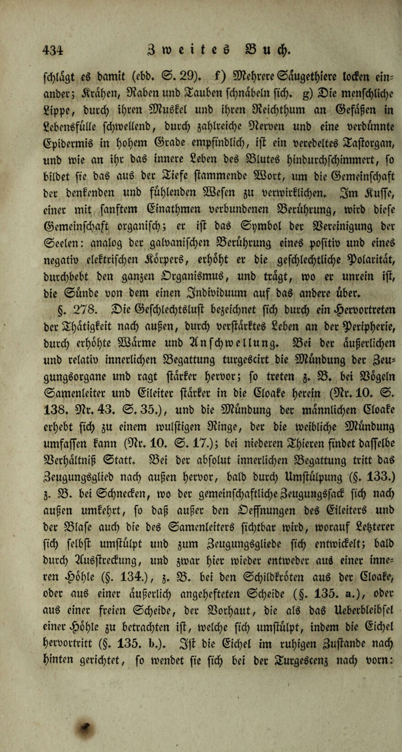 ©ebdtend bleiben, um hierauf eine eigene gamilie $u bilben. Gben fo ijf bad Verhältnis bei ben $irfcf)en, welche babei im £)ic£icbt ftcb verbergen, fo bap fte feiten belaufest werben; fo jagt ber wilbe Gber bie jungen hinweg tc. 2fnbete Spiere, 5» V. bie Äafcen, werben in ber Brunff febeuer, unb begatten ftd> barum feiten vor ntenfcb2 lieben Ungern — 2Bad in biefen t>ecfrf>iebenen gornten butcb ben tbierifeben Stieb vermittelt wirb, ftnbet bei bem SDfenfcben einen tie= feren ©runb im ©efühle, nur er ijf wirflicb febambaft, unb ffeigert bureb bad ©ebeintntS bie Snnigfeit feiner Vetbinbung. SDferfwütbig iff ed aber, wie bie ©dbambaftigfeit befiegt werben fann tb>eitö bureb tbierifebe 9^of>b>eit, wie benn manche Reiben in ©ibirten vor Anbeter 2(ugen ftcb begatteten (9fr. 202* II. ©. 388.), tbeild burdb fonberbare Verirrungen bed menfeblicben ©eijfed, namentlich bureb ^Pfaffentbum: fo würben in £>tabeite bei religiofen geffen öffentliche Begattungen vollzogen (9ft. 62. II. ©.124.); unb bad canonifcbe 9?edf)t führte im 14ten Sabrbunberte in granfreicb ben fogenannten Gongtefj in Ofecbtdfallen ein, wo eine Gbefcau tb^n 9Jfann bed Unvermögend gur Begattung angeftagt hätte; biefer Gongtef; in bet ©egenwart von ©ericbtdperfonen würbe in ber SDfitte bed löten Sabtbunbertd mit ben meinen gormlicbfeiten betrieben unb 1677 aufgehoben, ba ein angefebener SDfann, bet beim Gongreffe für un= vermogenb erfldrt worben war, bwtacb mit einer anbern grau fteben Äinbet gezeugt hätte (9fr. 171. VI. ©. 224). §. 277. £>ie Sbiece teilen einanber 5ut Begattung auf man* nicbfaltige Sfßeife, unb jwac a) mit ben gublfdben. ©o betaffen ftcb bie ©ebneefen gegenfeitig, unb vielfältig, ehe fte $ut Begattung febteiten; bei ben Sfymneen fcbmeicbelt nach ©tiebel ber, welcher bie männliche gunction übernimmt, bem 2(nberen bureb Berührung mit ben güblbvtnetn* 2fucb bie 21racbniben bewegen bie güblbdrnec an einanber unb ffreicbeln einanber bamit. Vei ber männlichen ©pinne ftnb bie erjfen ©lieber ber güblborner, wie bei ber weiblt- eben, aber bad vierte ©lieb tff ein Trichter, aud beffen £)effnung bad fünfte wie ein £offel bervorragt, in beffen ^oblung ein runber, bdutiger, an ber ©pi|e mit mehreren $afen unb febraubenformigen Änotpeln befefcter Körper liegt. 2)ted £)rgan, welcbed vormald für bad wirflicbe Seugungdglieb gehalten würbe, unb gewiffermafen ald