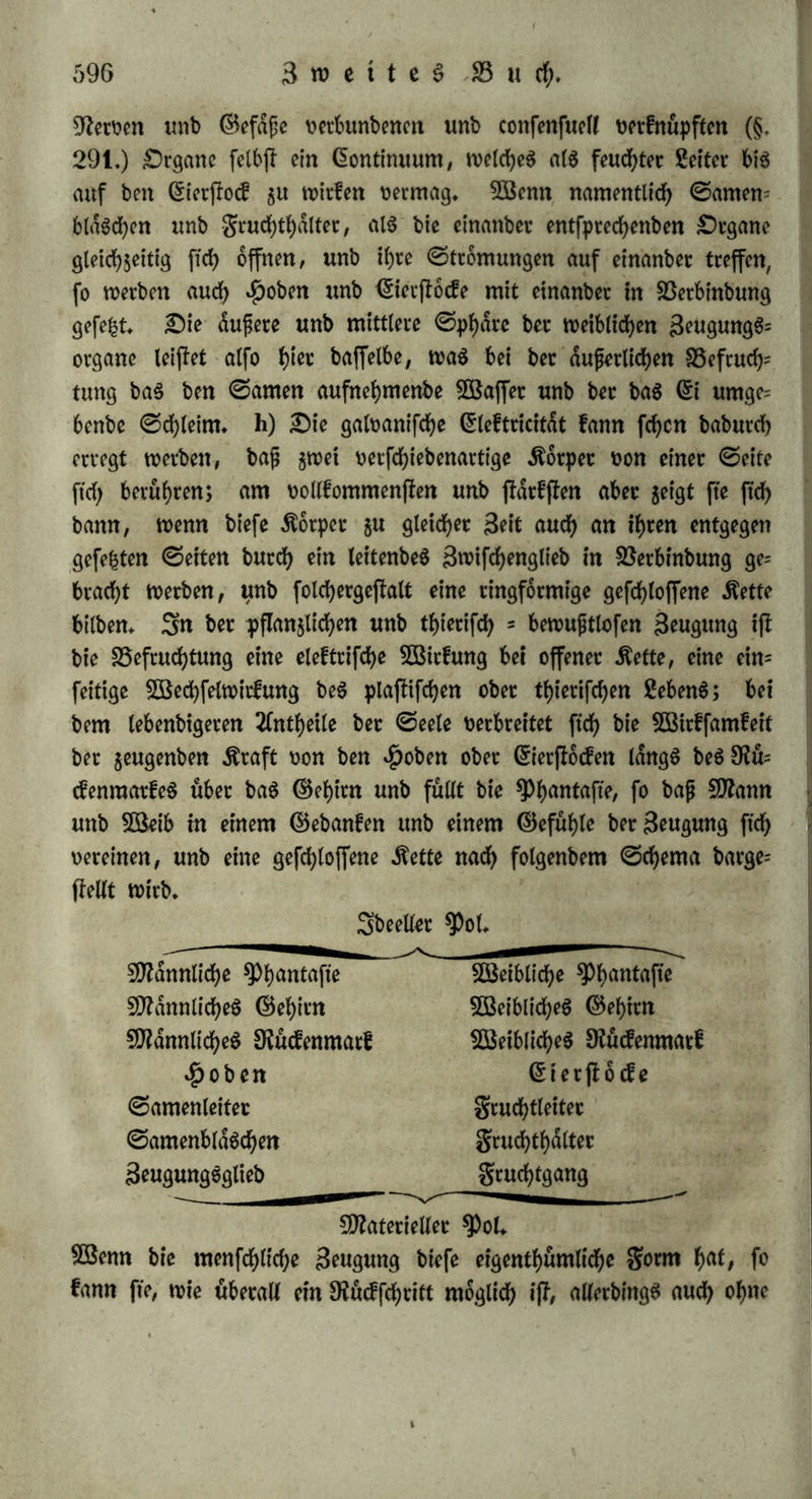 ben Bejhnbtheiten beS SSUttcö gebitbete Sf)eil ijf nid)t, tt>ie ein ctnbereS chemifcheS ßrjeugnig, ruhenb, fonbern felbft roteber lebenbig. ©o 6e5etdP>nct ftcf> benn auch bie Befruchtung, ba fte ihrem ©runbe nach bpnamifch, tf>rer SOßitfung nach chemifd) *(*/ als eine Bilbung, in weichet burd) bie gefteigerte ßebenbigfeit beS ©efd)lechtlichen unb Snbioibuellen bie Eebenbigfeit bec ©attung als ein neues, beharcli= cheS, inbmtbuelleS JDafepn bargejMt roivb. £)er Begriff bec ©at= tung wirb gleichfam frei unb aus bec Snbmibualitat entbunben, prägt ftch abec ctlSbalb mieber als BefchrdnfteS aus, inbem bie Bermitfte chung eben nichts AnbereS iji, als baS CEnblichmerben beS Unenbli= eben, baS (5ingef)en beS Allgemeinen unb Sbeellen in befonbece ©chranfen beS Raumes unb bec 3eit. f) 2)ie (£mpftnbung bei bec GErgiegung beS ©amenS beffebt in einec feampfhaften <5cfd>utte= cung mit einem ©efuhle non Auflegung perbunben, unb hat Aehm liebfeit mit bec Sßicfung bec GEleftcicitat. grauen, bie ftch beS Mo- mentes bec Befruchtung bemugt ftnb unb biefeS Snnemerben rnohl auch buccb einen ptohlichen AuSruf auSbrucfen, geben gecabeju unb mortlich an, bag if)re GEmpftnbung babei wie bie non einem etef- teifeben ©cf)lage gemefen fep. 3n golge bec Befruchtung erfolgt in bec gluffigfeit eines BlaSchenS beS (SierflocfeS 3^febung, Srubung unb Sftieberfchlag. ßruiffhanf fanb am beitten Sage nad) bec Begattung an einem Äantndjen ben noefpeingenben Sbeil bec Bläs- chen febr bucd)ftd)tig, abec fobalb ec bie arteria spermatica unb hypogastrica burchfchnitt, mürben fte alle „mie bued) einen eleftrb fd)en ©chlag unburchftchtig (9tfr. 172. 1797. ©. 206.). Sßic f>al= ten biefe Beobachtung junorberft für nollfommen richtig, benn ba CEruiffhanf gar feinen BSerth bacauf legt, feine theoretifche Am ficht bamit nerbinbet, fonbecn eS blog als eine einzeln jtehenbe, fonbecbace dcfcheinung berichtet, fo lagt ftch neemuthen, bag feine Saufd)ung ©tatt gefunben hat; bie Srubung mac mahrfcheinlid) bie golge einec 9fieberfchlagung in bec gluffigfeit, benn bie Berbicfung bec Membranen hatte nicht fo plo^tich erfolgen fonnen, unb eine ßongeftion oon Blut mürbe ftch bucdf> SKothung bemeefltd) gemacht haben; mit bec Becfenarterie macen abec bie fte begleitenben, jum gcud)thdltec unb GEiergtocfe gehenben Heroen burchfchnitten, unb mir burfen bie Bermutbung auffMen, bag bec Sfteroe, mie ec bei feiner