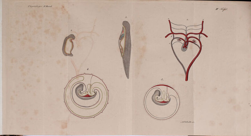 J?7u/Jivloytc JfJJancf.