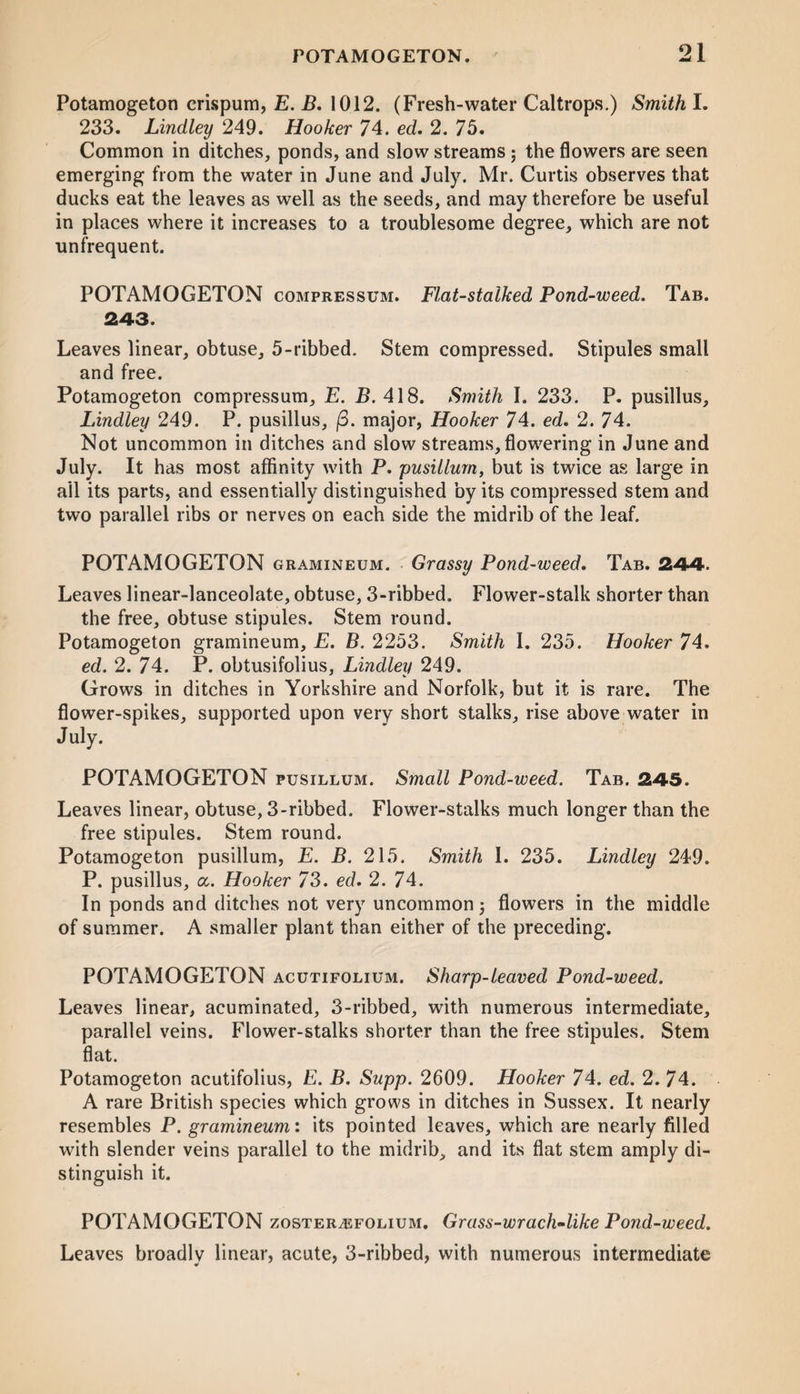 Potamogeton crispum, E. B. 1012. (Fresh-water Caltrops.) Smith I. 233. Lindley 249. Hooker 74. ed. 2. 75. Common in ditches, ponds, and slow streams; the flowers are seen emerging from the water in June and July. Mr. Curtis observes that ducks eat the leaves as well as the seeds, and may therefore be useful in places where it increases to a troublesome degree, which are not unfrequent. POTAMOGETON compressum. Flat-stalked Pond-weed. Tab. 243. Leaves linear, obtuse, 5-ribbed. Stem compressed. Stipules small and free. Potamogeton compressum, E. B. 418. Smith I. 233. P. pusillus, Lindley 249. P. pusillus, (3. major, Hooker 74. ed. 2. 74. Not uncommon in ditches and slow streams, flowering in June and July. It has most affinity with P. pusillurn, but is twice as large in all its parts, and essentially distinguished by its compressed stem and two parallel ribs or nerves on each side the midrib of the leaf. POTAMOGETON gramineum. Grassy Pond-weed. Tab. 244. Leaves linear-lanceolate, obtuse, 3-ribbed. Flower-stalk shorter than the free, obtuse stipules. Stem round. Potamogeton gramineum, E. B. 2253. Smith I. 235. Hooker 74. ed. 2. 74. P. obtusifolius, Lindley 249. Grows in ditches in Yorkshire and Norfolk, but it is rare. The flower-spikes, supported upon very short stalks, rise above water in July. POTAMOGETON pusillum. Small Pond-weed. Tab. 245. Leaves linear, obtuse, 3-ribbed. Flower-stalks much longer than the free stipules. Stem round. Potamogeton pusillum, E. B. 215. Smith I. 235. Lindley 249. P. pusillus, cc. Hooker 73. ed. 2. 74. In ponds and ditches not very uncommon) flowers in the middle of summer. A smaller plant than either of the preceding. POTAMOGETON acutifolium. Sharp-leaved Pond-weed. Leaves linear, acuminated, 3-ribbed, with numerous intermediate, parallel veins. Flower-stalks shorter than the free stipules. Stem flat. Potamogeton acutifolius, E. B. Supp. 2609. Hooker 74. ed. 2. 74. A rare British species which grows in ditches in Sussex. It nearly resembles P. gramineum: its pointed leaves, which are nearly filled with slender veins parallel to the midrib, and its flat stem amply di¬ stinguish it. POTAMOGETON zoster^efolium. Grass-wrach-like Pond-weed. Leaves broadly linear, acute, 3-ribbed, with numerous intermediate