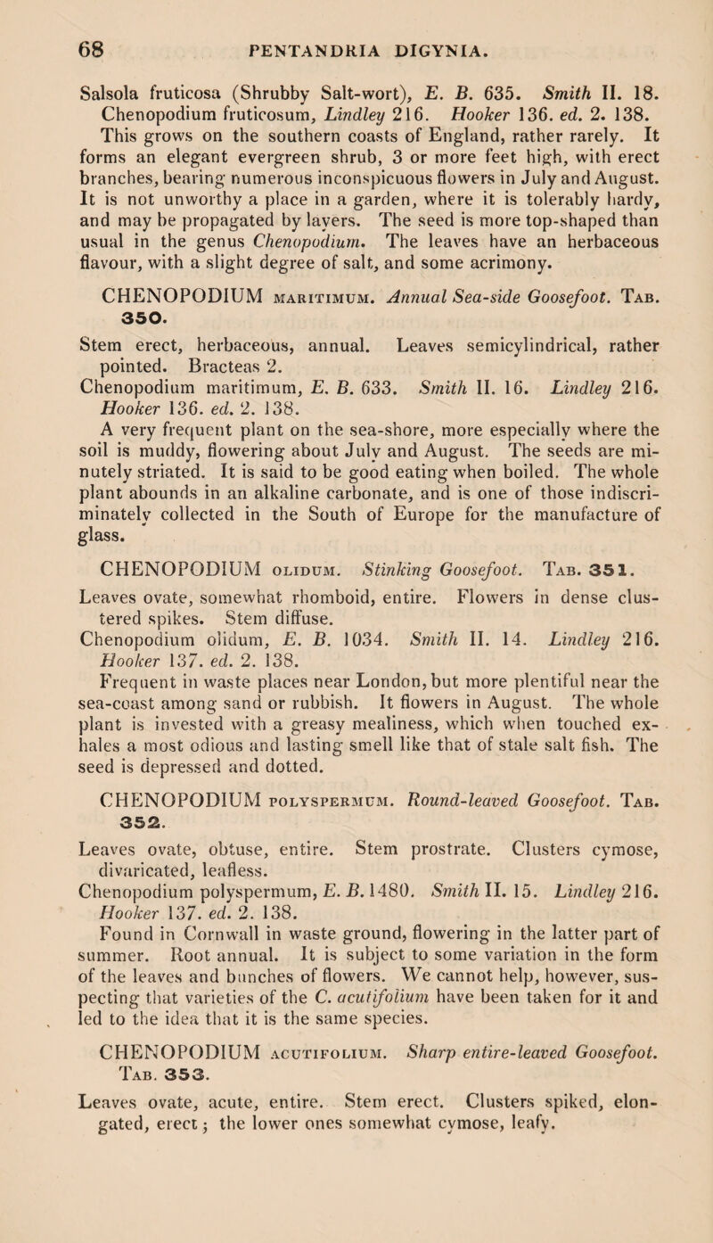 Salsola fruticosa (Shrubby Salt-wort), E. B. 635. Smith II. 18. Chenopodium fruticosum, LincLley 216. Hooker 136. ed. 2. 138. This grows on the southern coasts of England, rather rarely. It forms an elegant evergreen shrub, 3 or more feet high, with erect branches, bearing numerous inconspicuous flowers in July and August. It is not unworthy a place in a garden, where it is tolerably hardy, and may be propagated by layers. The seed is more top-shaped than usual in the genus Chenopodium. The leaves have an herbaceous flavour, with a slight degree of salt, and some acrimony. CHENOPODIUM maritimum. Annual Sea-side Goosefoot. Tab. 350. Stem erect, herbaceous, annual. Leaves semicylindrical, rather pointed. Bracteas 2. Chenopodium maritimum, E. B. 633. Smith II. 16. Bindley 216. Hooker 136. ed. 2. 138. A very frequent plant on the sea-shore, more especially where the soil is muddy, flowering about July and August. The seeds are mi¬ nutely striated. It is said to be good eating when boiled. The whole plant abounds in an alkaline carbonate, and is one of those indiscri¬ minately collected in the South of Europe for the manufacture of glass. CHENOPODIUM olidum. Stinking Goosefoot. Tab. 351. Leaves ovate, somewhat rhomboid, entire. Flowers in dense clus¬ tered spikes. Stem diffuse. Chenopodium olidum, E. B. 1034. Smith II. 14. Bindley 216. Hooker 137. ed. 2. 138. Frequent in waste places near London, but more plentiful near the sea-coast among sand or rubbish. It flowers in August. The whole plant is invested with a greasy mealiness, which when touched ex¬ hales a most odious and lasting smell like that of stale salt fish. The seed is depressed and dotted. CHENOPODIUM polyspermum. Round-leaved Goosefoot. Tab. 35^. Leaves ovate, obtuse, entire. Stem prostrate. Clusters cymose, divaricated, leafless. Chenopodium polyspermum, E. B. 1480. Smith II. 15. Bindley 216. Hooker 137. ed. 2. 138. Found in Cornwall in waste ground, flowering in the latter part of summer. Root annual. It is subject to some variation in the form of the leaves and bunches of flowers. We cannot help, however, sus¬ pecting that varieties of the C. acutifoiium have been taken for it and led to the idea that it is the same species. CHENOPODIUM acutifolium. Sharp entire-leaved Goosefoot. Tab. 353. Leaves ovate, acute, entire. Stern erect. Clusters spiked, elon¬ gated, erect; the lower ones somewhat cymose, leafy.