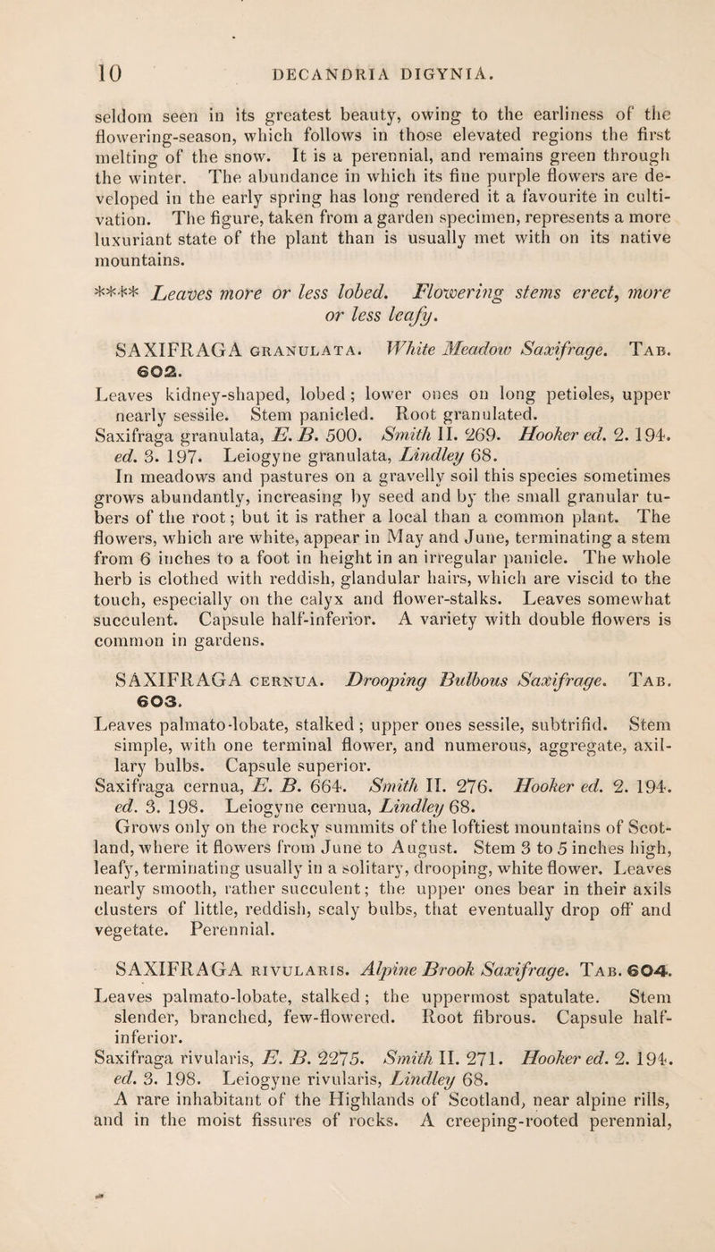 seldom seen in its greatest beauty, owing to the earliness of the flowering-season, which follows in those elevated regions the first melting of the snow. It is a perennial, and remains green through the winter. The abundance in which its fine purple flowers are de¬ veloped in the early spring has long rendered it a favourite in culti¬ vation. The figure, taken from a garden specimen, represents a more luxuriant state of the plant than is usually met with on its native mountains. Leaves more or less lobed. Flovoering stems erects more or less leafy. SAXIFRAGA granulata. White Meadow Saxifrage. Tab. 602.. Leaves kidney-shaped, lobed ; lower ones on long petioles, upper nearly sessile. Stem panicled. Root granulated. Saxifraga granulata, E.B. 500. Smith II. 269. Hooker ed. 2. 194. ed. 3. 197. Leiogyne granulata, Lindley 68. In meadows and pastures on a gravelly soil this species sometimes grows abundantly, increasing by seed and by the small granular tu¬ bers of the root; but it is rather a local than a common plant. The flowers, which are white, appear in May and June, terminating a stem from 6 inches to a foot in height in an irregular panicle. The whole herb is clothed with reddish, glandular hairs, which are viscid to the touch, especially on the calyx and flower-stalks. Leaves somewhat succulent. Capsule half-inferior. A variety with double flowers is common in gardens. SAXIFRAGA cernua. Drooping Bulbous Saxifrage. Tab. 603. Leaves palmato-lobate, stalked; upper ones sessile, subtrifid. Stem simple, with one terminal flower, and numerous, aggregate, axil¬ lary bulbs. Capsule superior. Saxifraga cernua, E. B. 664. Smith II. 276. Hooker ed. 2. 194. ed. 3. 198. Leiogyne cernua, Lindley 68. Grows only on the rocky summits of the loftiest mountains of Scot¬ land, where it flowers from June to August. Stem 3 to 5 inches high, leafy, terminating usually in a solitary, drooping, white flower. Leaves nearly smooth, rather succulent; the upper ones bear in their axils clusters of little, reddish, scaly bulbs, that eventually drop off and vegetate. Perennial. SAXIFRAGA rivularis. Alpine Brook Saxifrage. Tab. 604- Leaves palmato-lobate, stalked ; the uppermost spatulate. Stem slender, branched, few-flowered. Root fibrous. Capsule half¬ inferior. Saxifraga rivularis, E. B. 2275. Smith II. 271. Hooker ed. 2. 194. ed. 3. 198. Leiogyne rivularis, Lindley 68. A rare inhabitant of the Highlands of Scotland, near alpine rills, and in the moist fissures of rocks. A creeping-rooted perennial,