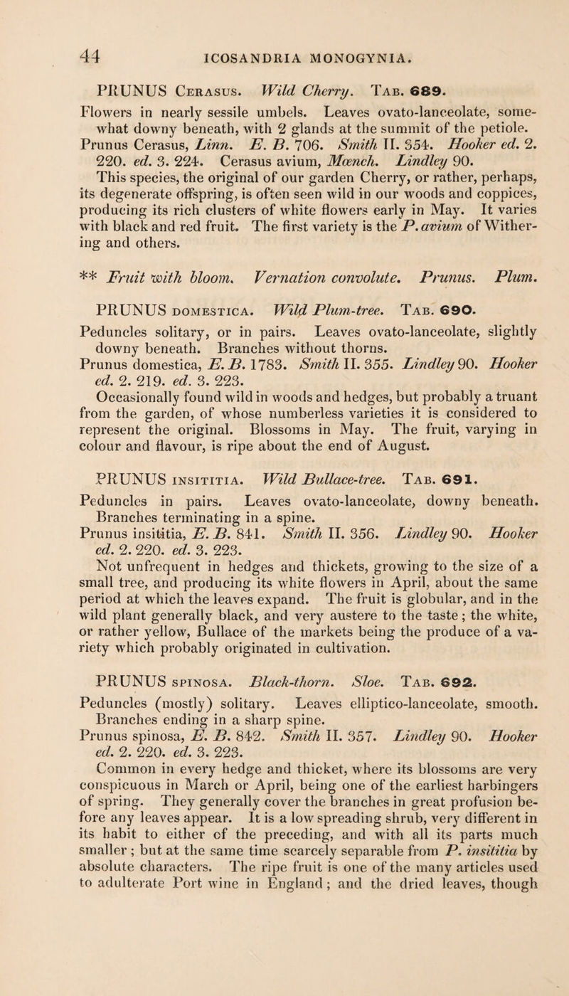 PRUNUS Cerasus. Wild Cherry. Tab. 689. Flowers in nearly sessile umbels. Leaves ovato-lanceolate, some¬ what downy beneath, with 2 glands at the summit of the petiole. Prunus Cerasus, Linn. E. B. 706. Smith II. 354. Hooker ed. 2. 220. ed. 3. 224. Cerasus avium, Mcench. Lindley 90. This species, the original of our garden Cherry, or rather, perhaps, its degenerate offspring, is often seen wild in our woods and coppices, producing its rich clusters of white flowers early in May. It varies with black and red fruit. The first variety is the P. avium of Wither¬ ing and others. ** Fruit ’with bloom. Vernation convolute. Prunus. Plum. PRUNUS domestica. Wild Plum-tree. Tab. 690. Peduncles solitary, or in pairs. Leaves ovato-lanceolate, slightly downy beneath. Branches without thorns. Prunus domestica, E. B. 1783. Smith II. 355. Lindley 90. Hooker ed. 2. 219. ed. 3. 223. Occasionally found wild in woods and hedges, but probably a truant from the garden, of whose numberless varieties it is considered to represent the original. Blossoms in May. The fruit, varying in colour and flavour, is ripe about the end of August. PRUNUS insititia. Wild Bullace-tree. Tab. 691. Peduncles in pairs. Leaves ovato-lanceolate, downy beneath. Branches terminating in a spine. Prunus insititia, E. B. 841. Smith II. 356. Lindley 90. Hooker ed. 2. 220. ed. 3. 223. Not unfrequent in hedges and thickets, growing to the size of a small tree, and producing its white flowers in April, about the same period at which the leaves expand. The fruit is globular, and in the wild plant generally black, and very austere to the taste; the white, or rather yellow, Bullace of the markets being the produce of a va¬ riety which probably originated in cultivation. PRUNUS spiNosA. Black-thorn. Sloe. Tab. 692. Peduncles (mostly) solitary. Leaves elliptico-lanceolate, smooth. Branches ending in a sharp spine. Prunus spinosa, E. B. 842. Smith II. 357. Lindley 90. Hooker ed. 2. 220. ed. 3. 223. Common in every hedge and thicket, where its blossoms are very conspicuous in March or April, being one of the earliest harbingers of spring. They generally cover the branches in great profusion be¬ fore any leaves appear. It is a low spreading shrub, very different in its habit to either of the preceding, and with all its parts much smaller ; but at the same time scarcely separable from P. insititia by absolute characters. The ripe fruit is one of the many articles used to adulterate Port wine in England; and the dried leaves, though