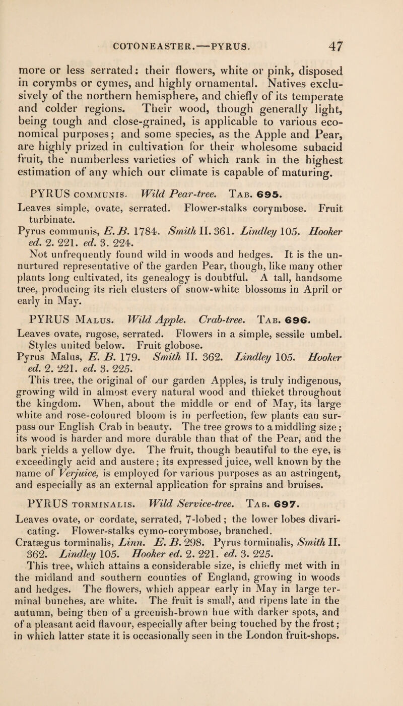 more or less serrated: their flowers, white or pink, disposed in corymbs or cymes, and highly ornamental. Natives exclu¬ sively of the northern hemisphere, and chiefly of its temperate and colder regions. Their wood, though generally light, being tough and close-grained, is applicable to various eco¬ nomical purposes; and some species, as the Apple and Pear, are highly prized in cultivation for their wholesome subacid fruit, the numberless varieties of which rank in the highest estimation of any which our climate is capable of maturing. PYRUS communis. Wild Pear-tree. Tab. 695. Leaves simple, ovate, serrated. Flower-stalks corymbose. Fruit turbinate. Pyrus communis, E.B. 1784, Smith II. 361. Lindley 105. Hooker ed. 2. 221. ed. 3. 224. Not unfrequently found wild in woods and hedges. It is the un¬ nurtured representative of the garden Pear, though, like many other plants long cultivated, its genealogy is doubtful. A tall, handsome tree, producing its rich clusters of snow-white blossoms in April or early in May. PYRUS Malus. Wild Apple. Grab-tree. Tab. 696. Leaves ovate, rugose, serrated. Flowers in a simple, sessile umbel. Styles united below. Fruit globose. Pyrus Malus, E. 13. 179. Smith II. 362. Lindley 105. Hooker ed. 2. 221. ed. 3. 225. This tree, the original of our garden Apples, is truly indigenous, growing wild in almost every natural wood and thicket throughout the kingdom. When, about the middle or end of May, its large white and rose-coloured bloom is in perfection, few plants can sur¬ pass our English Crab in beauty. The tree grows to a middling size ; its wood is harder and more durable than that of the Pear, and the bark yields a yellow dye. The fruit, though beautiful to the eye, is exceedingly acid and austere; its expressed juice, well known by the name of Verjuice, is employed for various purposes as an astringent, and especially as an external application for sprains and bruises. PYRUS torminalis. Wild Service-tree. Tab. 697. Leaves ovate, or cordate, serrated, 7-lobed; the lower lobes divari¬ cating. Flower-stalks cymo-corymbose, branched. Crataegus torminalis, Linn. E. B. 298. Pyrus torminalis, Smith II. 362. Lindley 105. Hooker ed. 2. 221. ed. 3. 225. This tree, which attains a considerable size, is chiefly met with in the midland and southern counties of England, growing in woods and hedges. The flowers, which appear early in May in large ter¬ minal bunches, are white. The fruit is small, and ripens late in the autumn, being then of a greenish-brown hue with darker spots, and of a pleasant acid flavour, especially after being touched by the frost; in which latter state it is occasionally seen in the London fruit-shops.