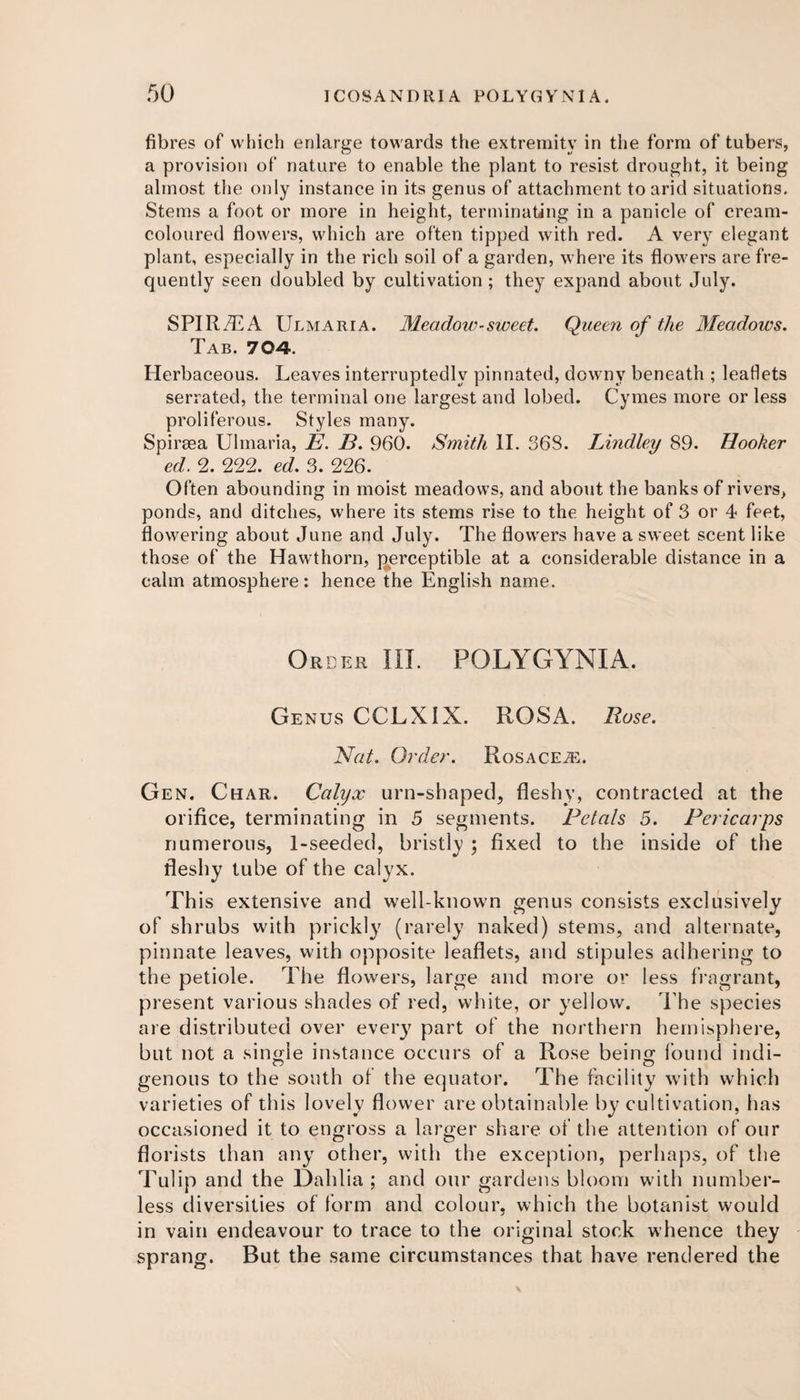 fibres of which enlarge towards the extremity in the form of tubers, a provision of nature to enable the plant to resist drought, it being almost the only instance in its genus of attachment to arid situations. Stems a foot or more in height, terminating in a panicle of cream- coloured flowers, which are often tipped with red. A very elegant plant, especially in the rich soil of a garden, where its flowers are fre¬ quently seen doubled by cultivation; they expand about July. SPIRJEA Ulmaria. Meadow-sweet. Queen of the Meadows. Tab. 704. Herbaceous. Leaves interruptedly pinnated, downy beneath ; leaflets serrated, the terminal one largest and lobed. Cymes more or less proliferous. Styles many. Spiraea Ulmaria, E. B. 960. Smith II. 36S. Bindley 89. Hooker ed. 2. 222. ed. 3. 226. Often abounding in moist meadows, and about the banks of rivers, ponds, and ditches, where its stems rise to the height of 3 or 4 feet, flowering about June and July. The flowers have a sweet scent like those of the Hawthorn, perceptible at a considerable distance in a calm atmosphere : hence the English name. Order III. POLYGYNIA. Genus CCLXIX. ROSA. Rose. Nat. Order. Rosacea. Gen. Char. Calyx urn-shaped, fleshy, contracted at the orifice, terminating in 5 segments. Petals 5. Pericarps numerous, 1-seeded, bristly ; fixed to the inside of the fleshy tube of the calyx. This extensive and well-known genus consists exclusively of shrubs with prickly (rarely naked) stems, and alternate, pinnate leaves, with opposite leaflets, and stipules adhering to the petiole. The flowers, large and more or less fragrant, present various shades of red, white, or yellow. The species are distributed over every part of the northern hemisphere, but not a single instance occurs of a Rose being found indi- genous to the south of the equator. The facility with which varieties of this lovely flower are obtainable by cultivation, has occasioned it to engross a larger share of the attention of our florists than any other, with the exception, perhaps, of the Tulip and the Dahlia; and our gardens bloom with number¬ less diversities of form and colour, which the botanist would in vain endeavour to trace to the original stock whence they sprang. But the same circumstances that have rendered the