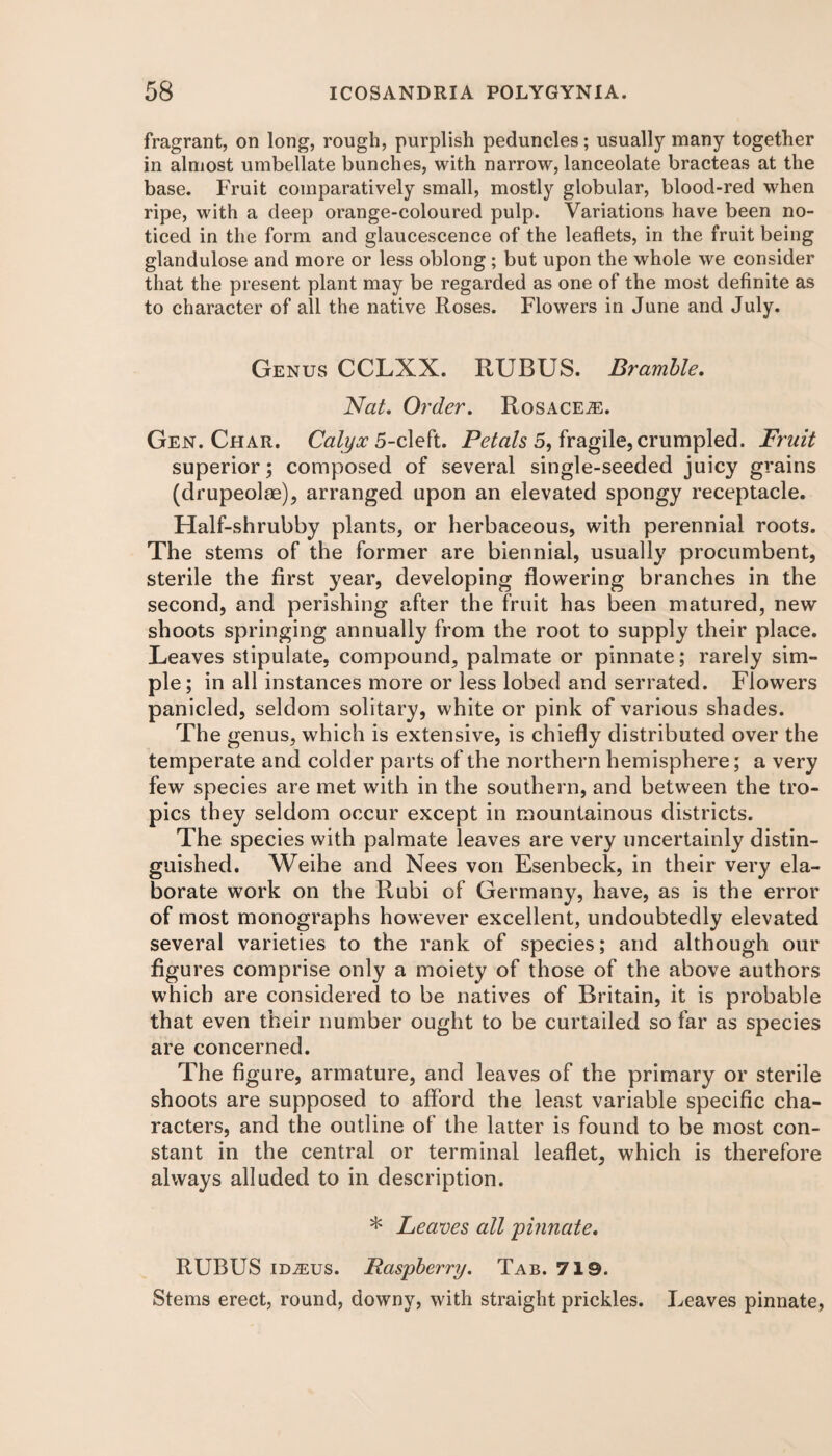 fragrant, on long, rough, purplish peduncles; usually many together in almost umbellate bunches, with narrow, lanceolate bracteas at the base. Fruit comparatively small, mostly globular, blood-red when ripe, with a deep orange-coloured pulp. Variations have been no¬ ticed in the form and glaucescence of the leaflets, in the fruit being glandulose and more or less oblong; but upon the whole we consider that the present plant may be regarded as one of the most definite as to character of all the native Roses. Flowers in June and July. Genus CCLXX. RUBUS. Bramble. Nat. Order. Rosacea. Gen. Char. Calyx 5-cleft. Petals 5, fragile, crumpled. Fruit superior; composed of several single-seeded juicy grains (drupeolae), arranged upon an elevated spongy receptacle. Half-shrubby plants, or herbaceous, with perennial roots. The stems of the former are biennial, usually procumbent, sterile the first year, developing flowering branches in the second, and perishing after the fruit has been matured, new shoots springing annually from the root to supply their place. Leaves stipulate, compound, palmate or pinnate; rarely sim¬ ple ; in all instances more or less lobed and serrated. Flowers panicled, seldom solitary, white or pink of various shades. The genus, which is extensive, is chiefly distributed over the temperate and colder parts of the northern hemisphere; a very few species are met with in the southern, and between the tro¬ pics they seldom occur except in mountainous districts. The species with palmate leaves are very uncertainly distin¬ guished. Weihe and Nees von Esenbeck, in their very ela¬ borate work on the Rubi of Germany, have, as is the error of most monographs however excellent, undoubtedly elevated several varieties to the rank of species; and although our figures comprise only a moiety of those of the above authors which are considered to be natives of Britain, it is probable that even their number ought to be curtailed so far as species are concerned. The figure, armature, and leaves of the primary or sterile shoots are supposed to afford the least variable specific cha¬ racters, and the outline of the latter is found to be most con¬ stant in the central or terminal leaflet, which is therefore always alluded to in description. * Leaves all pinnate. RUBUS iDiEus. Raspberry. Tab. 719. Stems erect, round, downy, with straight prickles. Leaves pinnate,