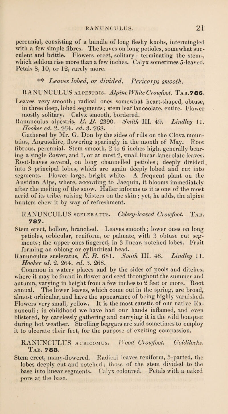 perennial, consisting of a bundle of long tieshy knobs, intermingled with a few simple fibres. The leaves on long petioles, somewhat suc¬ culent and brittle. Flowers erect, solitary; terminating the stems, which seldom rise more than a few inches. Calyx sometimes 5-leaved. Petals 8, 10, or 12, rarely more. ** Leaves lobed, or divided. Pericarps smooth. RANUNCULUS alpestris. Alpine White Crowfoot. Tab.786. Leaves very smooth; radical ones somewhat heart-shaped, obtuse, in three deep, lobed segments; stem leaf lanceolate, entire. Flower mostly solitary. Calyx smooth, bordered. Ranunculus alpestris, E. B. 2390. Smith III. 49. Lindley 11. Hooker ed. 2. 264. ed. 3. 268. Gathered by Mr. G. Don by the sides of rills on the Clova moun¬ tains, Angusshire, flowering sparingly in the month of May. Root fibrous, perennial. Stem smooth, 2 to 6 inches high, generally bear¬ ing a single dower, and 1, or at most 2, small linear-lanceolate leaves. Root-leaves several, on long channelled petioles; deeply divided into 3 principal lobes, which are again deeply lobed and cut into segments. Flower large, bright white. A frequent plant on the Austrian Alps, where, according to Jaequin, it blooms immediately after the melting of the snow. Haller informs us it is one of the most acrid of its tribe, raising blisters on the skin ; yet, he adds, the alpine hunters chew it by way of refreshment. RANUNCULUS sceleratus. Celery-leaved Crowfoot. Tab. 787. Stem erect, hollow, branched. Leaves smooth ; lower ones on long petioles, orbicular, reniform, or palmate, with 3 obtuse cut seg¬ ments; the upper ones fingered, in 3 linear, notched lobes. Fruit forming an oblong or cylindrical head. Ranunculus sceleratus, E. B. 681. Smith III. 48. Lindley 11. Hooker ed. 2. 264. ed. 3. 268. Common in watery places and by the sides of pools and ditches, where it may be found in flower and seed throughout the summer and autumn, varying in height from a few inches to 2 feet or more. Root annual. The lower leaves, which come out in the spring, are broad, almost orbicular, and have the appearance of being highly varnished. Flowers very small, yellow. It is the most caustic of our native Ra¬ nunculi; in childhood we have had our hands inflamed, and even blistered, by carelessly gathering and carrying it in the wild bouquet during hot weather. Strolling beggars are said sometimes to employ it to ulcerate their feet, for the purpose of exciting compassion. RANUNCULUS auricomus. Wood Crowfoot. Goldilocks. Tab. 788. Stem erect, many-flowered. Radical leaves reniform, 3-parted, the lobes deeply cut and notched ; those of the stem divided to the base into linear segments. Calyx coloured. Petals with a naked pore at the base.