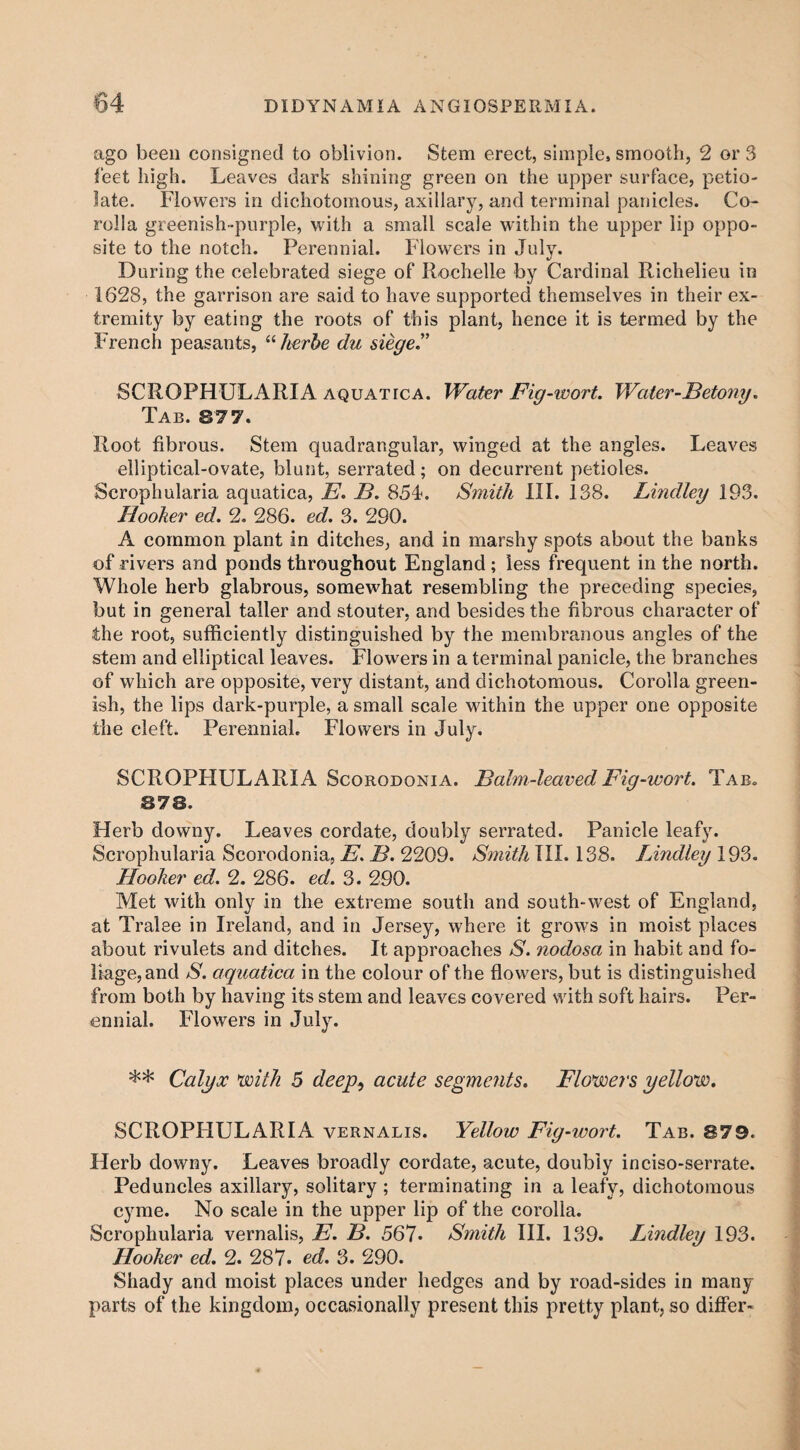 ago been consigned to oblivion. Stem erect, simple, smooth, 2 or 3 feet high. Leaves dark shining green on the upper surface, petio- late. Flowers in dichotomous, axillary, and terminal panicles. Co¬ rolla greenish-purple, with a small scale within the upper lip oppo¬ site to the notch. Perennial. Flowers in July. During the celebrated siege of Rochelle by Cardinal Richelieu in 1628, the garrison are said to have supported themselves in their ex¬ tremity by eating the roots of this plant, hence it is termed by the French peasants, “herhe du siege” SCROPHULARIA aquatica. Water Fig-wort. Water-Betony. Tab. 877. Root fibrous. Stem quadrangular, winged at the angles. Leaves elliptical-ovate, blunt, serrated; on decurrent petioles. Scrophularia aquatica, E. B. 854. Smith III. 138. Lindley 193. Hooker ed. 2. 286. ed. 3. 290. A common plant in ditches, and in marshy spots about the banks of rivers and ponds throughout England; less frequent in the north. Whole herb glabrous, somewhat resembling the preceding species, but in general taller and stouter, and besides the fibrous character of the root, sufficiently distinguished by the membranous angles of the stem and elliptical leaves. Flowers in a terminal panicle, the branches of which are opposite, very distant, and dichotomous. Corolla green¬ ish, the lips dark-purple, a small scale within the upper one opposite the cleft. Perennial. Flowers in July. SCROPHULARIA Scorodonia. Balm-leaved Fig-wort. Tab. 878. Herb downy. Leaves cordate, doubly serrated. Panicle leafy. Scrophularia Scorodonia, E. B. 2209. Smith TIL 138. Lindley 193. Hooker ed. 2. 286. ed. 3. 290. Met with only in the extreme south and south-west of England, at Tralee in Ireland, and in Jersey, where it grows in moist places about rivulets and ditches. It approaches S. nodosa in habit and fo- liage^nd S. aquatica in the colour of the flowers, but is distinguished from both by having its stem and leaves covered with soft hairs. Per¬ ennial. Flowers in July. ** Calyx with 5 deep, acute segments. Flowers yellow. SCROPHULARIA vernalis. Yellow Fig-wort. Tab. 879. Herb downy. Leaves broadly cordate, acute, doubly inciso-serrate. Peduncles axillary, solitary; terminating in a leafy, dichotomous cyme. No scale in the upper lip of the corolla. Scrophularia vernalis, E. B. 567• Smith III. 139. Lindley 193. Hooker ed. 2. 287. ed. 3. 290. Shady and moist places under hedges and by road-sides in many parts of the kingdom, occasionally present this pretty plant, so differ-