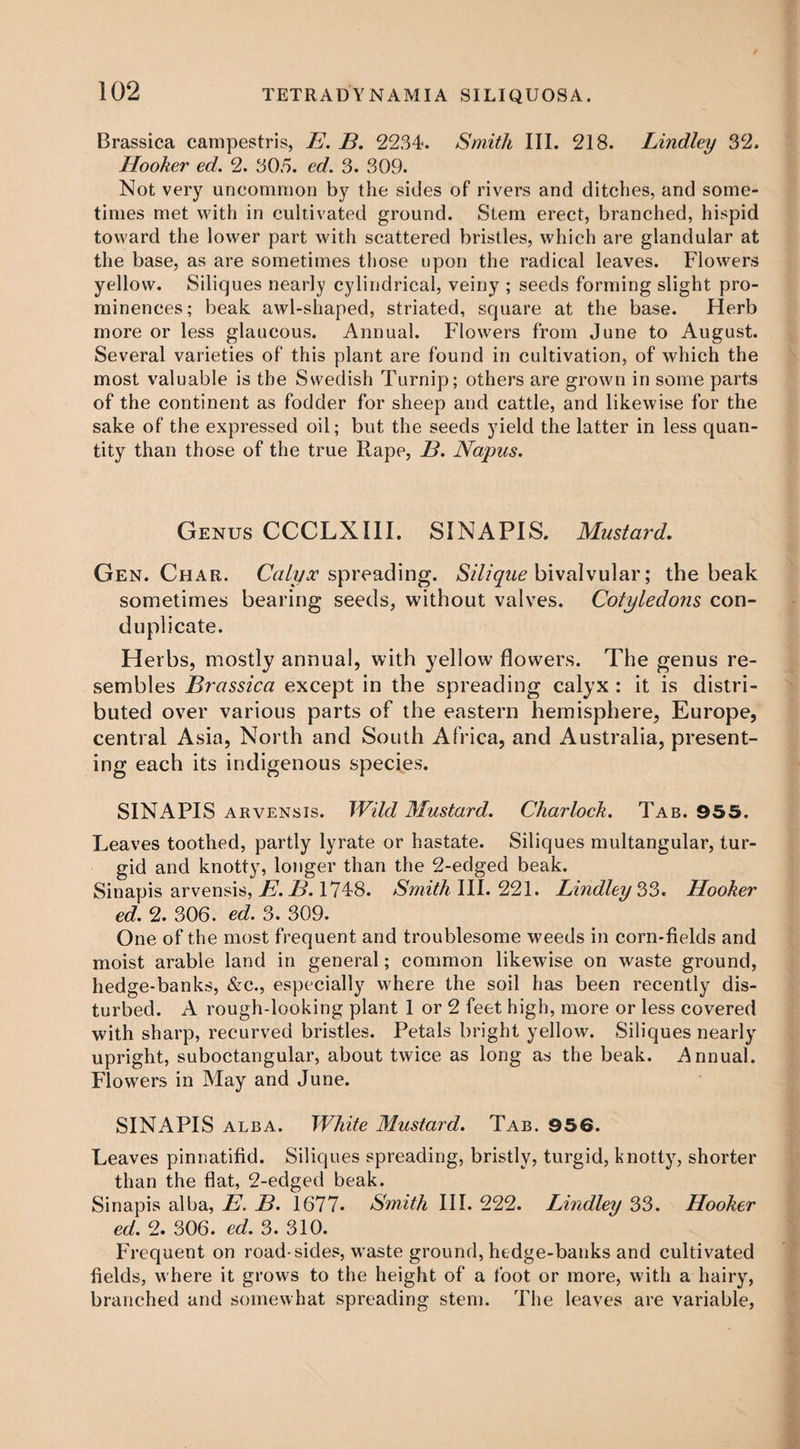 Brassica campestris, E. B. 2234. Smith III. 218. Lindley 32. Hooker ed. 2. 305. ed. 3. 309. Not very uncommon by the sides of rivers and ditches, and some¬ times met with in cultivated ground. Stem erect, branched, hispid toward the lower part with scattered bristles, which are glandular at the base, as are sometimes those upon the radical leaves. Flowers yellow. Siliques nearly cylindrical, veiny ; seeds forming slight pro¬ minences; beak awl-shaped, striated, square at the base. Herb more or less glaucous. Annual. Flowers from June to August. Several varieties of this plant are found in cultivation, of which the most valuable is the Swedish Turnip; others are grown in some parts of the continent as fodder for sheep and cattle, and likewise for the sake of the expressed oil; but the seeds yield the latter in less quan¬ tity than those of the true Rape, B. Napus. Genus CCCLXIII. SINAPIS. Mustard. Gen. Char. Calyx spreading. Silique bivalvular; the beak sometimes bearing seeds, without valves. Cotyledons con- duplicate. Herbs, mostly annual, with yellow flowers. The genus re¬ sembles Brassica except in the spreading calyx : it is distri¬ buted over various parts of the eastern hemisphere, Europe, central Asia, North and South Africa, and Australia, present¬ ing each its indigenous species. SINAPIS arvensis. Wild Mustard. Charlock. Tab. 955. Leaves toothed, partly lyrate or hastate. Siliques multangular, tur¬ gid and knotty, longer than the 2-edged beak. Sinapis arvensis, E. B. 1748. Smith III. 221. Bindley 33. Hooker ed. 2. 306. ed. 3. 309. One of the most frequent and troublesome weeds in corn-fields and moist arable land in general; common likewise on waste ground, hedge-banks, &c., especially where the soil has been recently dis¬ turbed. A rough-looking plant 1 or 2 feet high, more or less covered with sharp, recurved bristles. Petals bright yellow. Siliques nearly upright, suboctangular, about twice as long as the beak. Annual. Flowers in May and June. SINAPIS alba. White Mustard. Tab. 956. Leaves pinnatifid. Siliques spreading, bristly, turgid, knotty, shorter than the flat, 2-edged beak. Sinapis alba, E. B. 1677. Smith III. 222. Lindley 33. Hooker ed. 2. 306. ed. 3. 310. Frequent on road-sides, waste ground, hedge-banks and cultivated fields, where it grows to the height of a foot or more, with a hairy, branched and somewhat spreading stem. The leaves are variable,