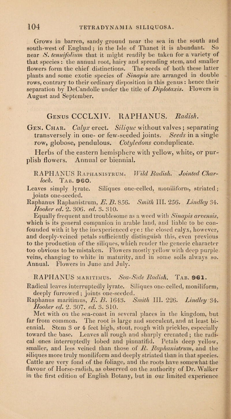 Grows in barren, sandy ground near the sea in the south and south-west of England ; in the Isle of Thanet it is abundant. So near S. tenuifolium that it might readily be taken for a variety of that species : the annual root, hairy and spreading stein, and smaller flowers form the chief distinctions. The seeds of both these latter plants and some exotic species of Sinapis are arranged in double rows, contrary to their ordinary disposition in this genus : hence their separation by DeCandolle under the title of Diplotaxis. Flowers in August and September. Genus CCCLXIV. RAPHANUS. Radish. Gen. Char. Calyx erect. Silique without valves; separating transversely in one- or few-seeded joints. Seeds in a single row, globose, pendulous. Cotyledons conduplicate. Herbs of the eastern hemisphere with yellow, white, or pur¬ plish flowers. Annual or biennial. RAPHANUS Raphanistrum. Wild Radish. Jointed Char- loch. Tab. 960. Leaves simply lyrate. Siliques one-celled, moniliform, striated; joints one-seeded. Raphanus Raphanistrum, E.B. 856. Smith III. 256. Lindley 34. Hooker ed. 2. 306. ed. 3. 310. Equally frequent and troublesome as a weed with Sinapis arvensis, which is its general companion in arable land, and liable to be con¬ founded with it by the inexperienced eye : the closed calyx, however, and deeply-veined petals sufficiently distinguish this, even previous to the production of the siliques, which render the generic character too obvious to be mistaken. Flowers mostly yellow with deep purple veins, changing to white in maturity, and in some soils always so. Annual. Flowers in June and July. RAPHANUS maritimus. Sea-Side Radish. Tab. 961. Radical leaves interruptedly lyrate. Siliques one-celled, moniliform, deeply furrowed; joints one-seeded. Raphanus maritimus, E. B. 1643. Smith III. 226. Lindley 34. Hooker ed. 2. 307. ed. 3. 310. Met with on the sea-coast in several places in the kingdom, but far from common. The root is large and succulent, and at least bi¬ ennial. Stem 3 or 4 feet high, stout, rough with prickles, especially toward the base. Leaves all rough and sharply crenated ; the radi¬ cal ones interruptedly lobed and pinnatifid. Petals deep yellow, smaller, and less veined than those of R. Raphanistrum, and the siliques more truly moniliform and deeply striated than in that species. Cattle are very fond of the foliage, and the roots have somewhat the flavour of Horse-radish, as observed on the authority of Dr. Walker in the first edition of English Botany, but in our limited experience