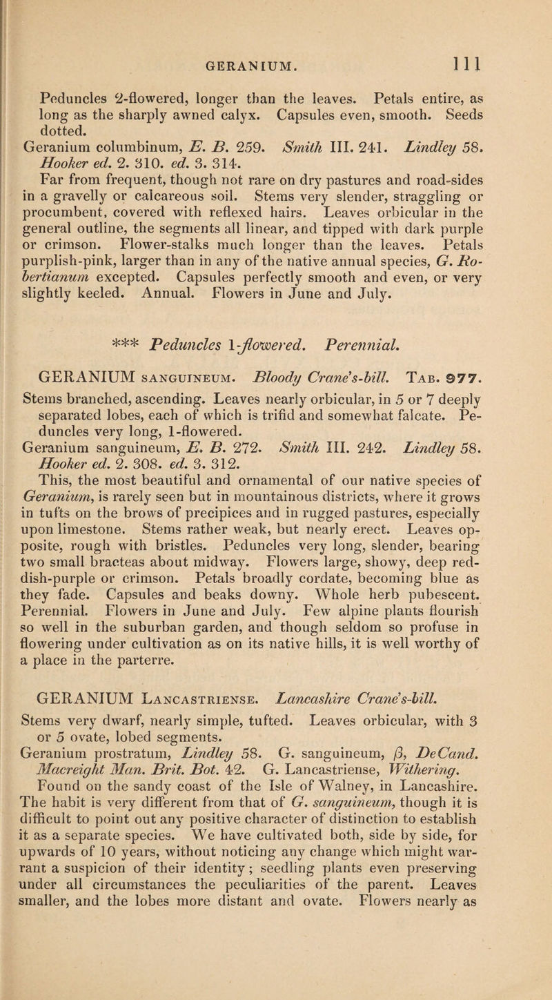 Peduncles 2-flowered, longer than the leaves. Petals entire, as long as the sharply awned calyx. Capsules even, smooth. Seeds dotted. Geranium columbinum, E. B. 259. Smith III. 241. Lindley 58. Hooker ed. 2. 510. ed. 3. 314. Far from frequent, though not rare on dry pastures and road-sides in a gravelly or calcareous soil. Stems very slender, straggling or procumbent, covered with reflexed hairs. Leaves orbicular in the general outline, the segments all linear, and tipped with dark purple or crimson. Flower-stalks much longer than the leaves. Petals purplish-pink, larger than in any of the native annual species, G. Ro- hertianum excepted. Capsules perfectly smooth and even, or very slightly keeled. Annual. Flowers in June and July. *** Peduncles flowered. Perennial. GERANIUM sanguineum. Bloody Crane’s-bill. Tab. 977. Stems branched, ascending. Leaves nearly orbicular, in 5 or 7 deeply separated lobes, each of which is trifid and somewhat falcate. Pe¬ duncles very long, 1-flowered. Geranium sanguineum, E. B. 272. Smith III. 242. Lindley 58. Hooker ed. 2. 308. ed. 3. 312. This, the most beautiful and ornamental of our native species of Geranium, is rarely seen but in mountainous districts, where it grows in tufts on the brows of precipices and in rugged pastures, especially upon limestone. Stems rather weak, but nearly erect. Leaves op¬ posite, rough with bristles. Peduncles very long, slender, bearing two small bracteas about midway. Flowers large, showy, deep red¬ dish-purple or crimson. Petals broadly cordate, becoming blue as they fade. Capsules and beaks downy. Whole herb pubescent. Perennial. Flowers in June and July. Few alpine plants flourish so well in the suburban garden, and though seldom so profuse in flowering under cultivation as on its native hills, it is well worthy of a place in the parterre. GERANIUM Lancastriense. Lancashire Crane’s-bill. Stems very dwarf, nearly simple, tufted. Leaves orbicular, with 3 or 5 ovate, lobed segments. Geranium prostratum, Lindley 58. G. sanguineum, fj, DeCand. Macreight Man. Brit. Bot. 42. G. Lancastriense, Withering. Found on the sandy coast of the Isle of Walney, in Lancashire. The habit is very different from that of G. sanguineum, though it is difficult to point out any positive character of distinction to establish it as a separate species. We have cultivated both, side by side, for upwards of 10 years, without noticing any change which might war¬ rant a suspicion of their identity; seedling plants even preserving under all circumstances the peculiarities of the parent. Leaves smaller, and the lobes more distant and ovate. Flowers nearly as