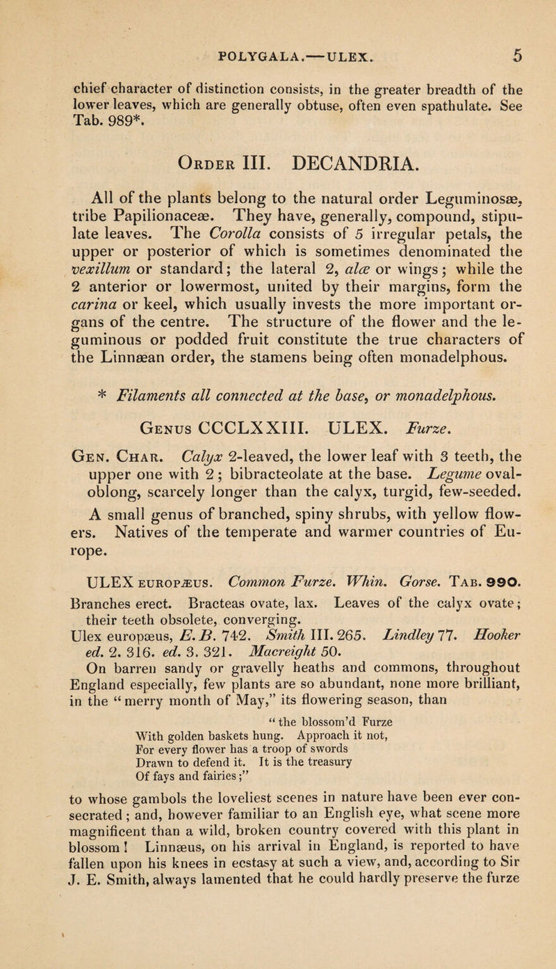 chief character of distinction consists, in the greater breadth of the lower leaves, which are generally obtuse, often even spathulate. See Tab. 989*. Order III. DECANDRIA. All of the plants belong to the natural order Leguminosae, tribe Papilionacese. They have, generally, compound, stipu¬ late leaves. The Corolla consists of 5 irregular petals, the upper or posterior of which is sometimes denominated the vexillum or standard; the lateral 2, alee or wings; while the 2 anterior or lowermost, united by their margins, form the carina or keel, which usually invests the more important or¬ gans of the centre. The structure of the flower and the le¬ guminous or podded fruit constitute the true characters of the Linnaean order, the stamens being often monadelphous. * Filaments all connected at the base, or monadelphous. Genus CCCLXXIII. ULEX. Furze. Gen. Char. Calyx 2-leaved, the Icwer leaf with 3 teeth, the upper one with 2; bibracteolate at the base. Legume oval- oblong, scarcely longer than the calyx, turgid, few-seeded. A small genus of branched, spiny shrubs, with yellow flow¬ ers. Natives of the temperate and warmer countries of Eu¬ rope. ULEX europjeus. Common Furze. Whin. Gorse. Tab. 990. Branches erect. Bracteas ovate, lax. Leaves of the calyx ovate; their teeth obsolete, converging. Ulex europeeus, E. B. 742. Smith III. 265. Lindleyl^J. Hooker ed. 2. 316. ed. 3. 321. Macreight 50. On barren sandy or gravelly heaths and commons, throughout England especially, few plants are so abundant, none more brilliant, in the “ merry month of May,” its flowering season, than “ the blossom’d Furze With golden baskets hung. Approach it not, For every flower has a troop of swords Drawn to defend it. It is the treasury Of fays and fairies to whose gambols the loveliest scenes in nature have been ever con¬ secrated ; and, however familiar to an English eye, what scene more magnificent than a wild, broken country covered with this plant in blossom ! Linnaeus, on his arrival in England, is reported to have fallen upon his knees in ecstasy at such a view, and, according to Sir J. E. Smith, always lamented that he could hardly preserve the furze