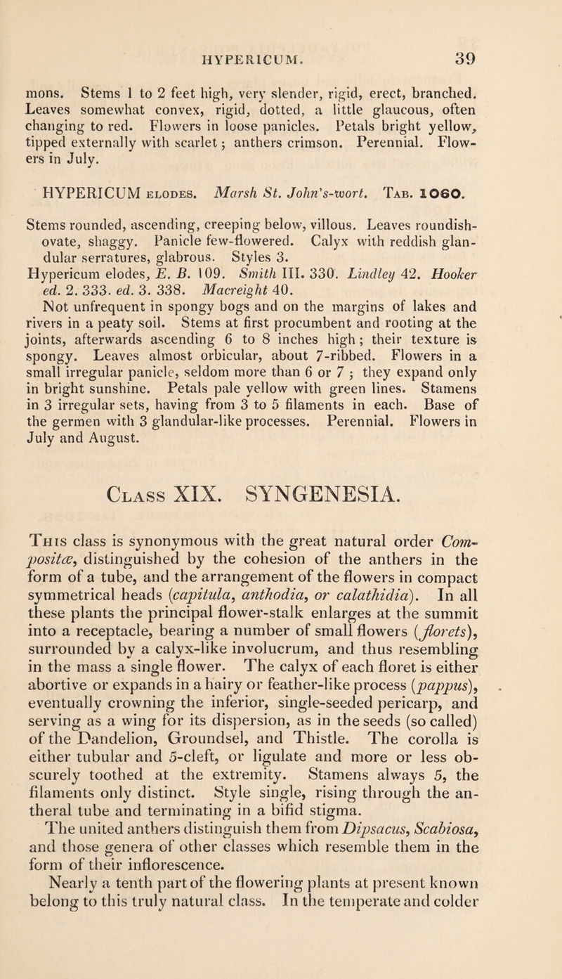 mons. Stems 1 to 2 feet high, very slender, rigid, erect, branched. Leaves somewhat convex, rigid, dotted, a little glaucous, often changing to red. Flowers in loose panicles. Petals bright yellow, tipped externally with scarlet 5 anthers crimson. Perennial. Flow¬ ers in July. HYPERICUM elodes. Marsh St. John’s-tvort. Tab. 1080. Stems rounded, ascending, creeping below, villous. Leaves roundish- ovate, shaggy. Panicle few-flowered. Calyx with reddish glan¬ dular serratures, glabrous. Styles 3. Hypericum elodes, E. B. 109. Smith III. 330. Lind ley 42. HooJcer ed. 2. 333. ed. 3. 338. Macreight 40. Not unfrequent in spongy bogs and on the margins of lakes and rivers in a peaty soil. Stems at first procumbent and rooting at the joints, afterwards ascending 6 to 8 inches high; their texture is spongy. Leaves almost orbicular, about 7-ribbed. Flowers in a small irregular panicle, seldom more than 6 or 7 ; they expand only in bright sunshine. Petals pale yellow with green lines. Stamens in 3 irregular sets, having from 3 to 5 filaments in each. Base of the germen with 3 glandular-like processes. Perennial. Flowers in July and August. Class XIX. SYNGENESIA. This class is synonymous with the great natural order Com- positce, distinguished by the cohesion of the anthers in the form of a tube, and the arrangement of the flowers in compact symmetrical heads (<capitula, anthodia, or calathidia). In all these plants the principal flower-stalk enlarges at the summit into a receptacle, bearing a number of small flowers (florets), surrounded by a calyx-like involucrum, and thus resembling in the mass a single flower. The calyx of each floret is either abortive or expands in a hairy or feather-like process (pappus), eventually crowning the inferior, single-seeded pericarp, and serving as a wing for its dispersion, as in the seeds (so called) of the Dandelion, Groundsel, and Thistle. The corolla is either tubular and 5-cleft, or ligulate and more or less ob¬ scurely toothed at the extremity. Stamens always 5, the filaments only distinct. Style single, rising through the an- theral tube and terminating in a bifid stigma. The united anthers distinguish them from Dipsacus, Scabiosa, and those genera of other classes which resemble them in the form of their inflorescence. Nearly a tenth part of the flowering plants at present known belong to this truly natural class. In the temperate and colder