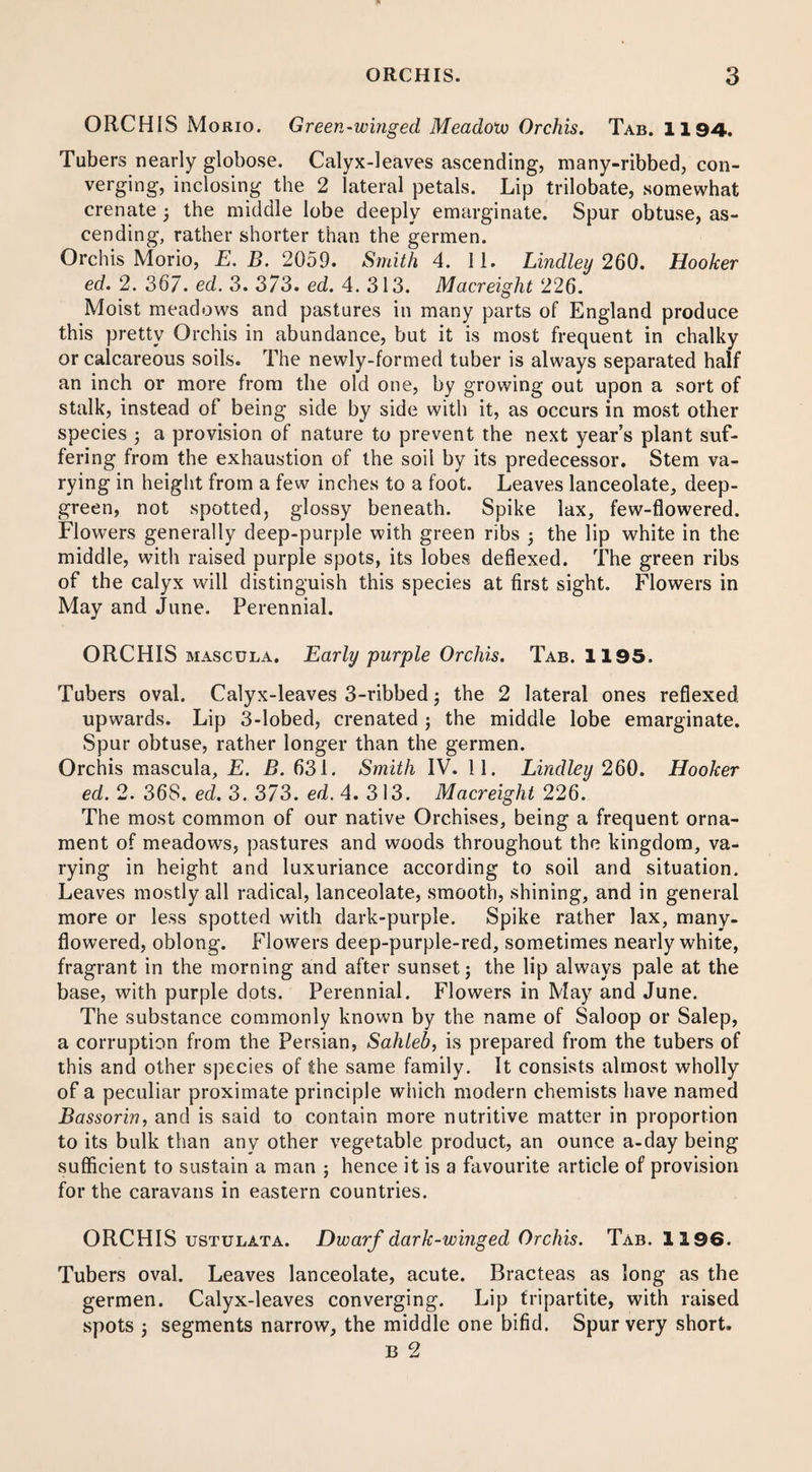 ORCHIS Morio. Green-winged Meadow Orchis. Tab. 1194. Tubers nearly globose. Calyx-leaves ascending, many-ribbed, con¬ verging, inclosing the 2 lateral petals. Lip trilobate, somewhat crenate 5 the middle lobe deeply emarginate. Spur obtuse, as¬ cending, rather shorter than the germen. Orchis Morio, E. B. 2059. Smith 4. 11. Lindley 260. Hooker ed. 2. 367. ed. 3. 373. ed. 4. 313. Macreight 226. Moist meadows and pastures in many parts of England produce this pretty Orchis in abundance, but it is most frequent in chalky or calcareous soils. The newly-formed tuber is always separated half an inch or more from the old one, by growing out upon a sort of stalk, instead of being side by side with it, as occurs in most other species ; a provision of nature to prevent the next year’s plant suf¬ fering from the exhaustion of the soil by its predecessor. Stem va¬ rying in height from a few inches to a foot. Leaves lanceolate, deep- green, not spotted, glossy beneath. Spike lax, few-flowered. Flowers generally deep-purple with green ribs 5 the lip white in the middle, with raised purple spots, its lobes deflexed. The green ribs of the calyx will distinguish this species at first sight. Flowers in May and June. Perennial. ORCHIS mascdla. Early purple Orchis. Tab. 1195. Tubers oval. Calyx-leaves 3-ribbed 3 the 2 lateral ones reflexed upwards. Lip 3-lobed, crenated ; the middle lobe emarginate. Spur obtuse, rather longer than the germen. Orchis mascula, E. B. 631. Smith IV. 11. Lindley 260. Hooker ed. 2. 368. ed. 3. 373. ed. 4. 313. Macreight 226. The most common of our native Orchises, being a frequent orna¬ ment of meadows, pastures and woods throughout the kingdom, va¬ rying in height and luxuriance according to soil and situation. Leaves mostly all radical, lanceolate, smooth, shining, and in general more or less spotted with dark-purple. Spike rather lax, many- flowered, oblong. Flowers deep-purple-red, sometimes nearly white, fragrant in the morning and after sunset; the lip always pale at the base, with purple dots. Perennial. Flowers in May and June. The substance commonly known by the name of Saloop or Salep, a corruption from the Persian, Sahleb, is prepared from the tubers of this and other species of the same family. It consists almost wholly of a peculiar proximate principle which modern chemists have named Bassorin, and is said to contain more nutritive matter in proportion to its bulk than any other vegetable product, an ounce a-day being sufficient to sustain a man ; hence it is a favourite article of provision for the caravans in eastern countries. ORCHIS ustulata. Dwarf dark-winged Orchis. Tab. 1196. Tubers oval. Leaves lanceolate, acute. Bracteas as long as the germen. Calyx-leaves converging. Lip tripartite, with raised spots j segments narrow, the middle one bifid. Spur very short. B 2