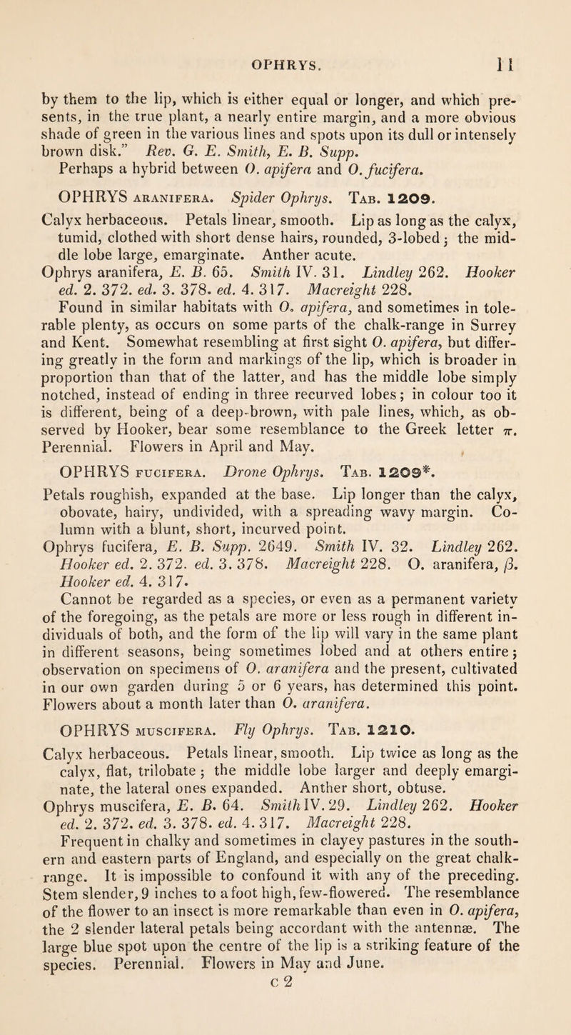 by them to the lip, which is either equal or longer, and which pre¬ sents, in the true plant, a nearly entire margin, and a more obvious shade of green in the various lines and spots upon its dull or intensely brown disk.” Rev. G. E. Smith, E. B. Supp. Perhaps a hybrid between 0. apifera and O.fucifera. OPHRYS aranifera. Spider Ophnys. Tab. 1209. Calyx herbaceous. Petals linear, smooth. Lip as long as the calyx, tumid, clothed with short dense hairs, rounded, 3-lobed ; the mid¬ dle lobe large, emarginate. Anther acute. Ophrys aranifera, E. B. 65. Smith IV. 31. Bindley 262. Hooker ed. 2. 372. ed. 3. 378. ed. 4. 317. Macreight 228. Found in similar habitats with 0. apifera, and sometimes in tole¬ rable plenty, as occurs on some parts of the chalk-range in Surrey and Kent. Somewhat resembling at first sight 0. apifera, but differ¬ ing greatly in the form and markings of the lip, which is broader in proportion than that of the latter, and has the middle lobe simply notched, instead of ending in three recurved lobes; in colour too it is different, being of a deep-brown, with pale lines, which, as ob¬ served by Hooker, bear some resemblance to the Greek letter 7r. Perennial. Flowers in April and May. OPHRYS fucifera. Drone Ophrys. Tab. 1209^. Petals roughish, expanded at the base. Lip longer than the calyx, obovate, hairy, undivided, with a spreading wavy margin. Co¬ lumn with a blunt, short, incurved point. Ophrys fucifera, E. B. Supp. 2649. Smith IV. 32. Bindley 262. Hooker ed. 2. 372. ed. 3. 378. Macreight 228. O. aranifera, /3. Hooker ed. 4. 31 7* Cannot be regarded as a species, or even as a permanent variety of the foregoing, as the petals are more or less rough in different in¬ dividuals of both, and the form of the lip will vary in the same plant in different seasons, being sometimes lobed and at others entire; observation on specimens of 0. aranifera and the present, cultivated in our own garden during 5 or 6 years, has determined this point. Flowers about a month later than 0. aranifera. OPHRYS muscifera. Fly Ophrys. Tab. 1210. Calyx herbaceous. Petals linear, smooth. Lip twice as long as the calyx, flat, trilobate ; the middle lobe larger and deeply emargi¬ nate, the lateral ones expanded. Anther short, obtuse. Ophrys muscifera, E. B. 64. Smith IV. 29. Bindley 262. Hooker ed. 2. 372. ed. 3. 378. ed. 4. 317. Macreight 228. Frequent in chalky and sometimes in clayey pastures in the south¬ ern and eastern parts of England, and especially on the great chalk- range. It is impossible to confound it with any of the preceding. Stem slender, 9 inches to a foot high, few-flowered. The resemblance of the flower to an insect is more remarkable than even in 0. apifera, the 2 slender lateral petals being accordant with the antennae. The large blue spot upon the centre of the lip is a striking feature of the species. Perennial. Flowers in May and June. c 2