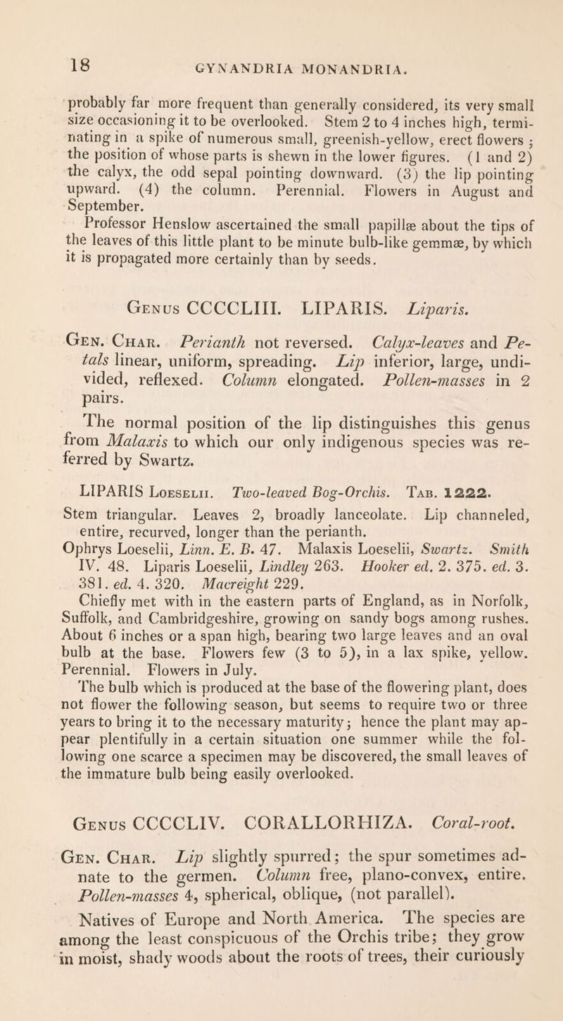 probably far more frequent than generally considered, its very small size occasioning it to be overlooked. Stem 2 to 4 inches high, termi¬ nating in a spike of numerous small, greenish-yellow, erect flowers • the position of whose parts is shewn in the lower figures. (1 and 2) the calyx, the odd sepal pointing downward. (3) the lip pointing upward. (4) the column. Perennial. Flowers in August and September. Professor Henslow ascertained the small papillae about the tips of the leaves of this little plant to be minute bulb-like gemmae, by which it is propagated more certainly than by seeds. Genus CCCCLIII. LIPARIS. Liparis. Gen. Char. Perianth not reversed. Calyx-leaves and Pe¬ tals linear, uniform, spreading. Lip inferior, large, undi¬ vided, reflexed. Column elongated. Pollen-masses in 2 pairs. The normal position of the lip distinguishes this genus from Malaxis to which our only indigenous species was re¬ ferred by Swartz. LIPARIS Loeselii. Two-leaved Bog-Orchis. Tab. 1222. Stem triangular. Leaves 2, broadly lanceolate. Lip channeled, entire, recurved, longer than the perianth. Ophrys Loeselii, Linn. E. B. 47. Malaxis Loeselii, Swartz. Smith IV. 48. Liparis Loeselii, Lindley 263. Hooker ed. 2. 375. ed. 3. 381. ed. 4. 320. Macreight 229. Chiefly met with in the eastern parts of England, as in Norfolk, Suffolk, and Cambridgeshire, growing on sandy bogs among rushes. About 6 inches or a span high, bearing two large leaves and an oval bulb at the base. Flowers few (3 to 5), in a lax spike, yellow. Perennial. Flowers in July. The bulb which is produced at the base of the flowering plant, does not flower the following season, but seems to require two or three years to bring it to the necessary maturity; hence the plant may ap¬ pear plentifully in a certain situation one summer while the fol¬ lowing one scarce a specimen may be discovered, the small leaves of the immature bulb being easily overlooked. Genus CCCCLIV. CORALLORHIZA. Coral-root. Gen. Char. Lip slightly spurred; the spur sometimes ad- nate to the germen. Column free, plano-convex, entire. Pollen-masses 4, spherical, oblique, (not parallel). Natives of Europe and North America. The species are among the least conspicuous of the Orchis tribe; they grow in moist, shady woods about the roots of trees, their curiously