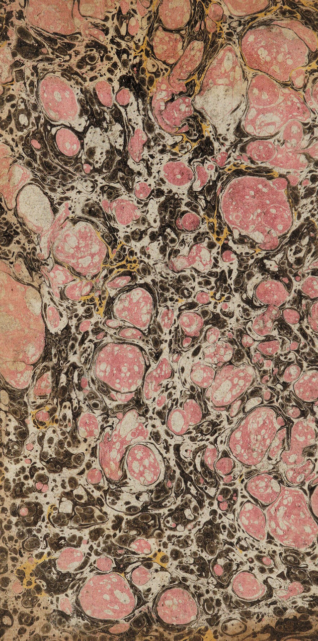 digitised image 2