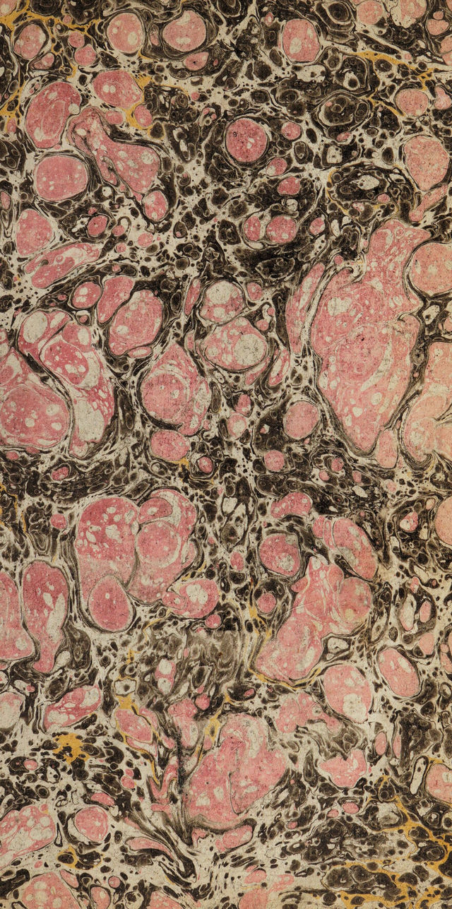 digitised image 3
